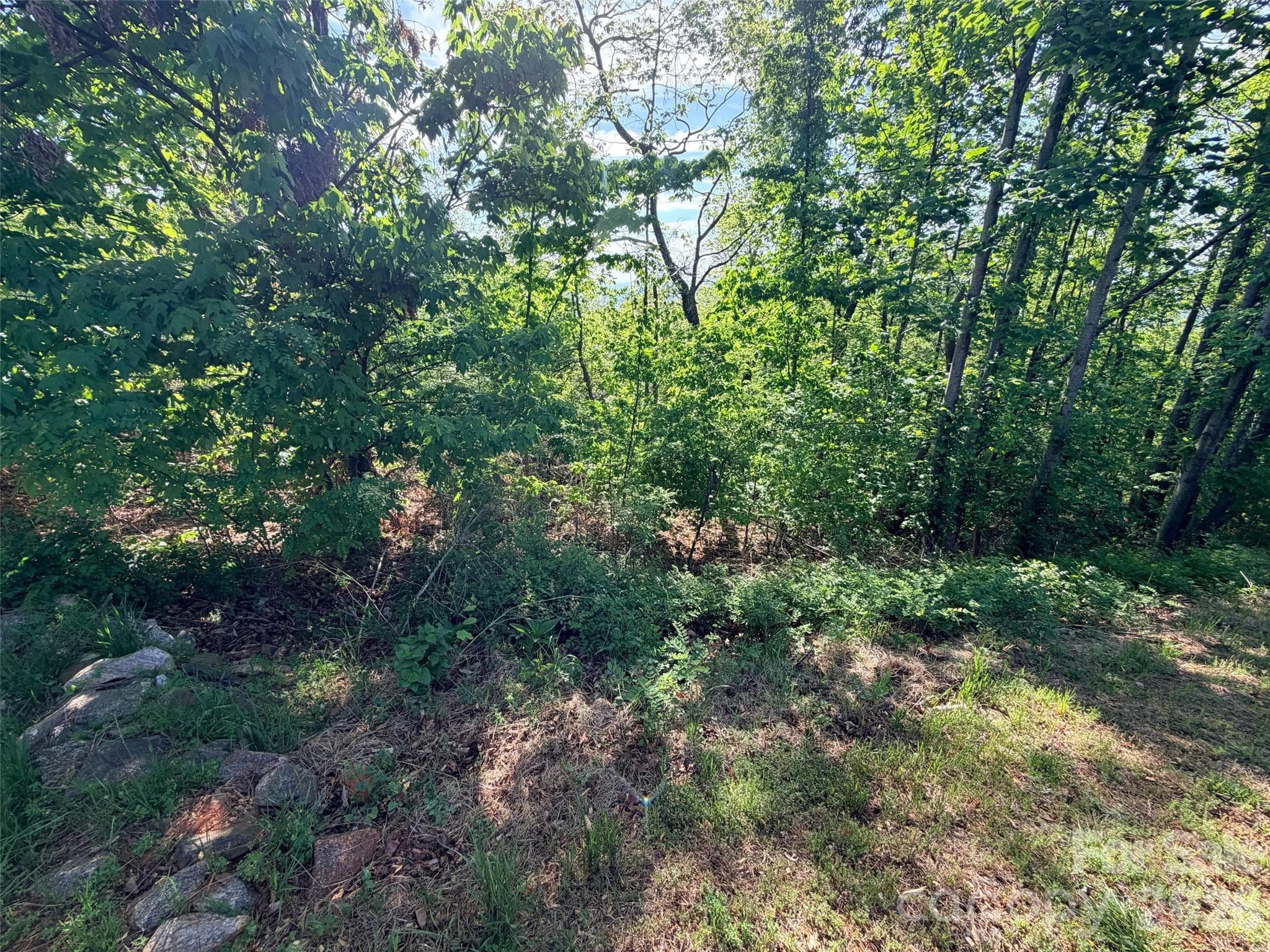 Lot at Lake Lure, photo 9 of 18