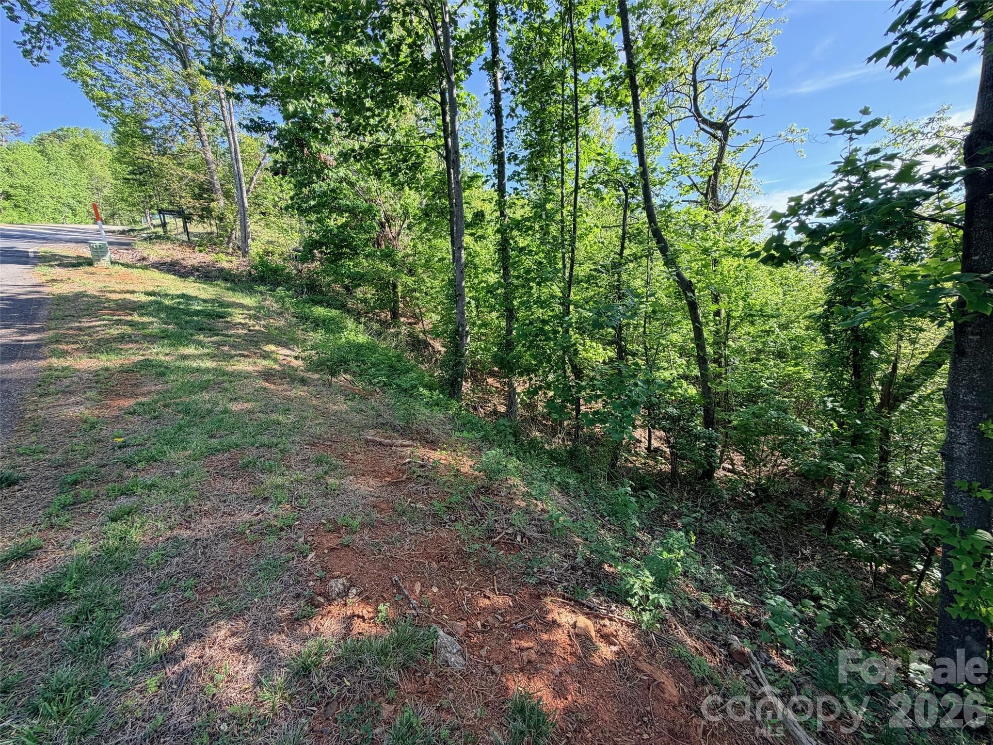Lot at Lake Lure, photo 10 of 18