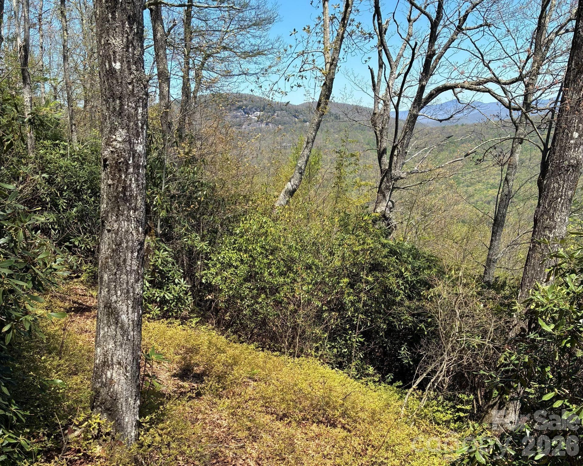 Path down property - Lake Toxaway