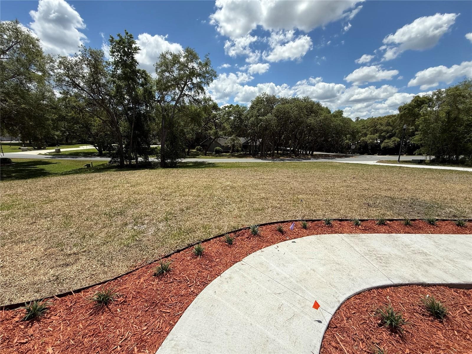 Front Yard commanding View - 421 W CHASE ST, HERNANDO