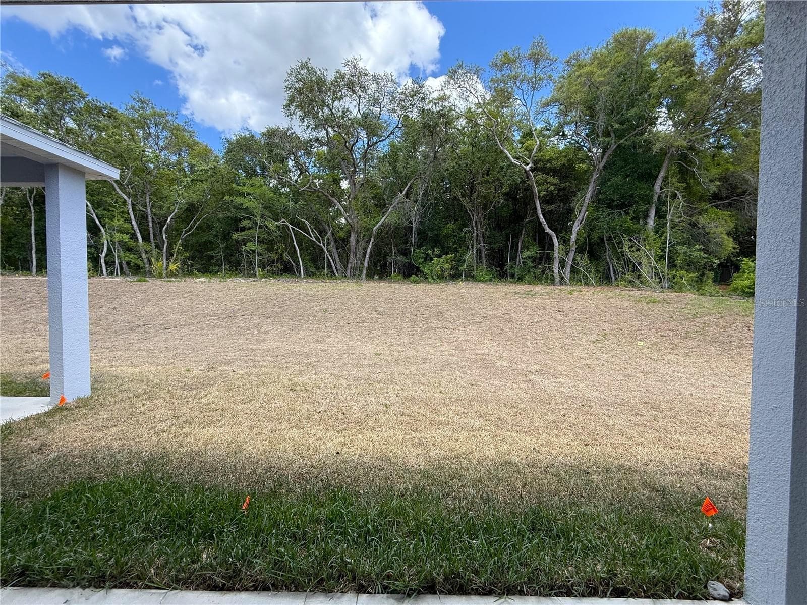 Majestic Woods to the Rear - 421 W CHASE ST, HERNANDO