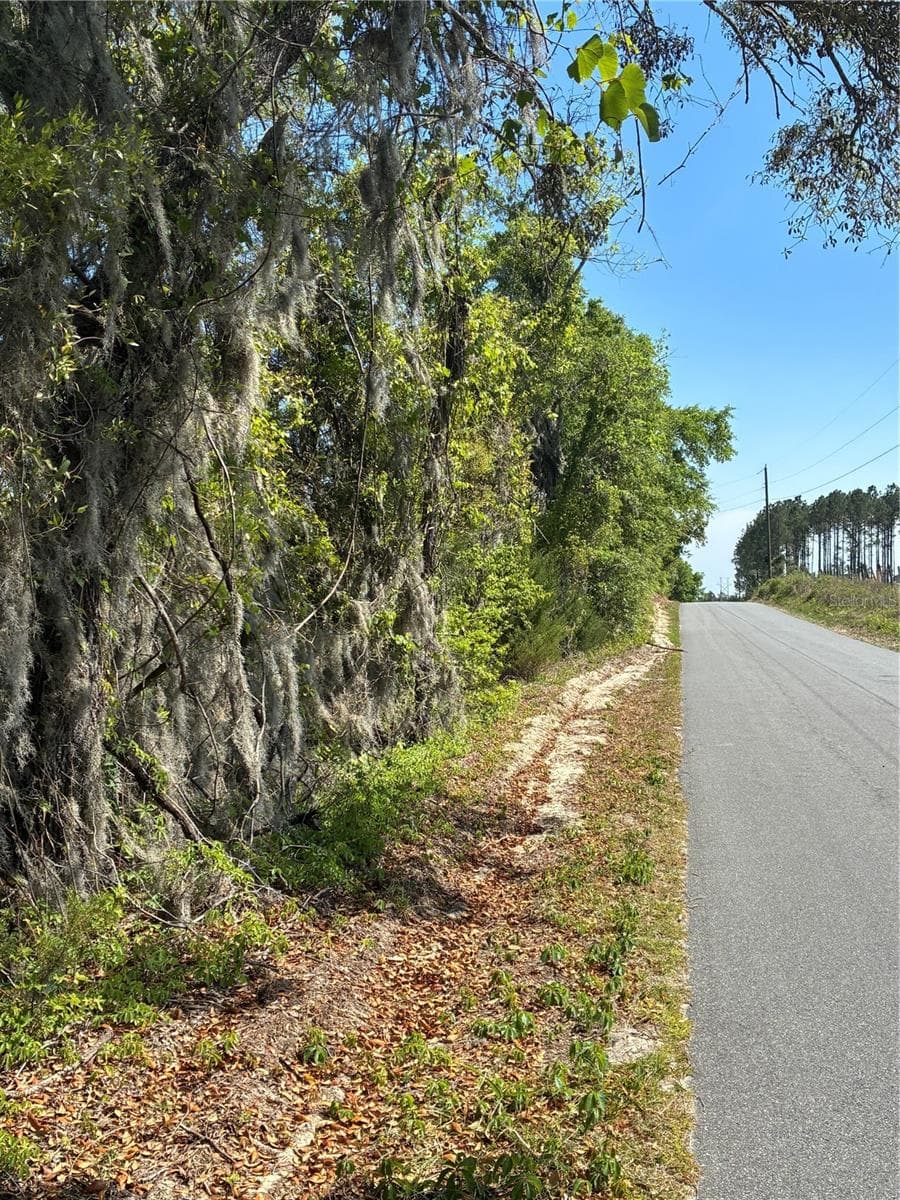 Land at 298TH STREET, NEWBERRY, photo 2 of 5