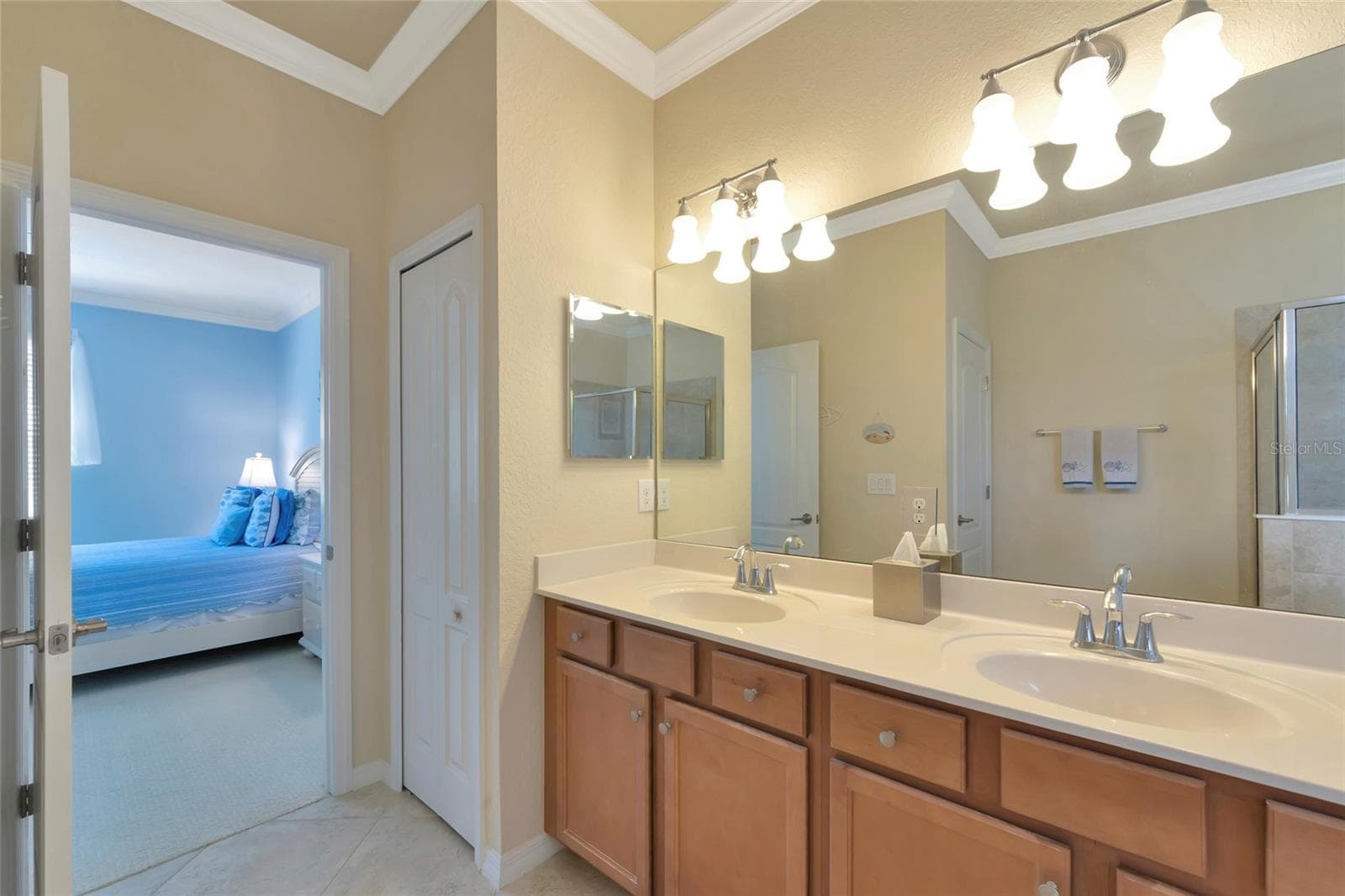 Single Family Residence at 157 WANDERING WETLANDS CIR, BRADENTON, photo 19 of 50