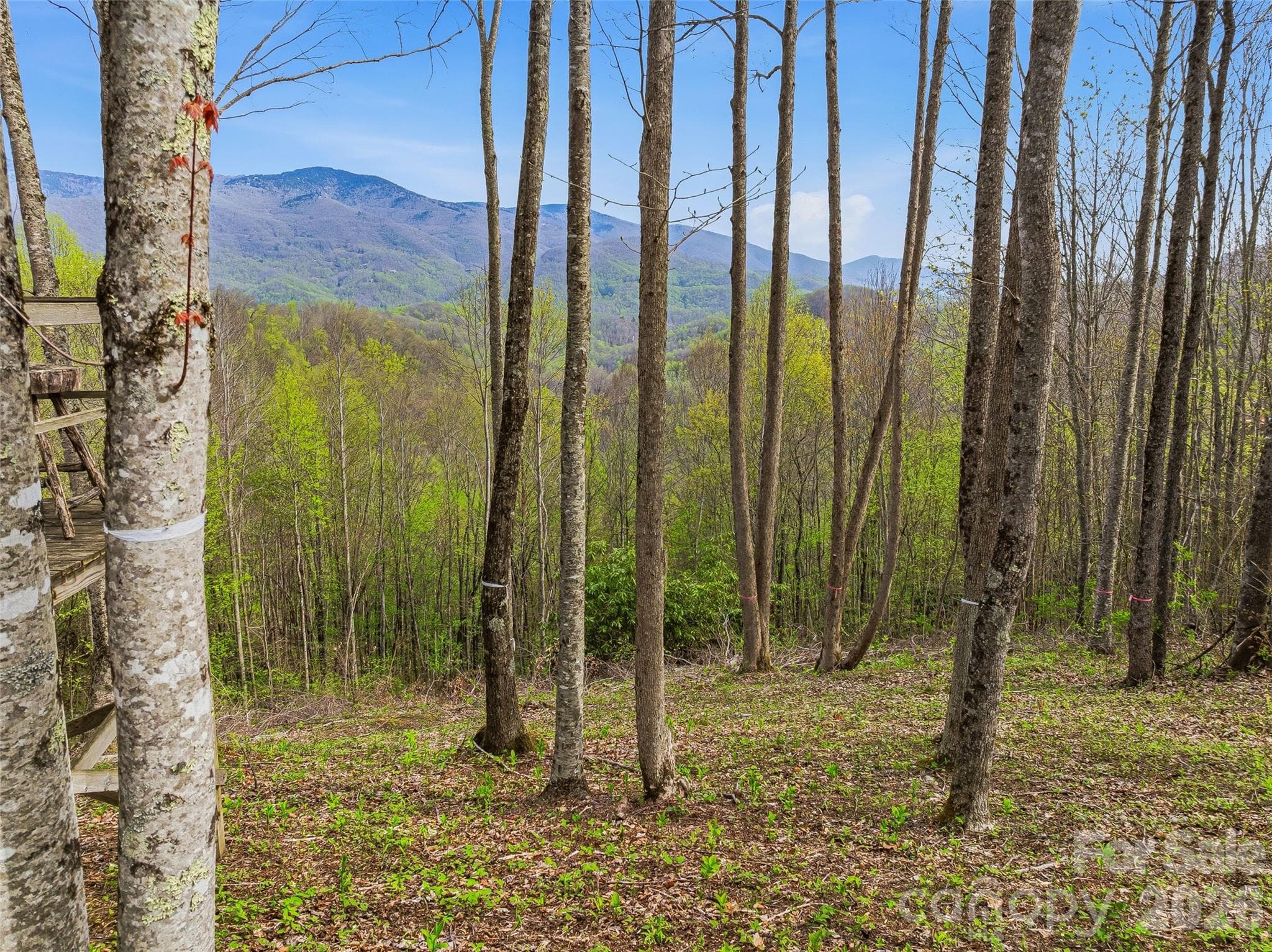 Lot at #227 Flying Dutchman Road, Sylva, photo 15 of 31