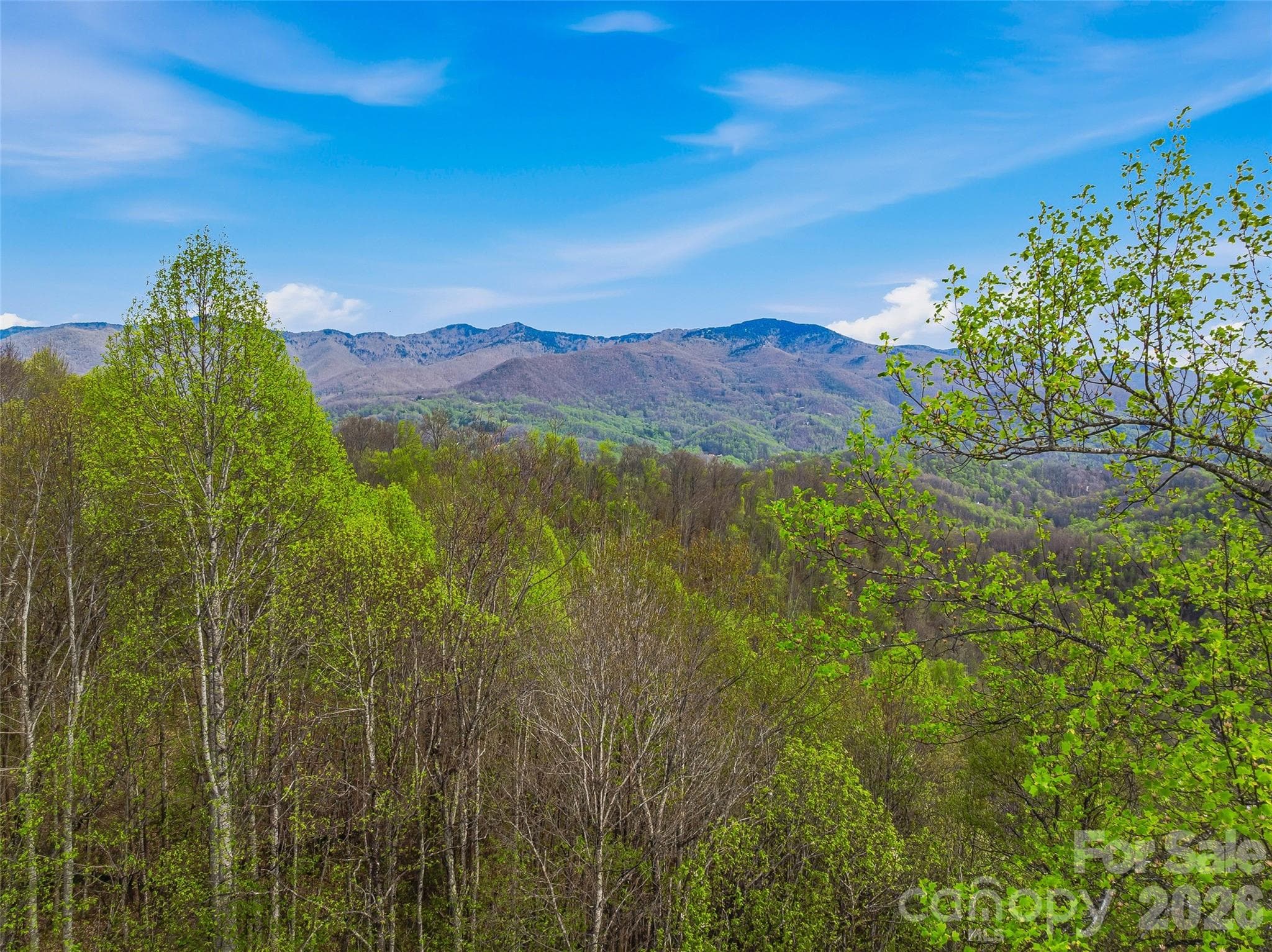 Lot at #227 Flying Dutchman Road, Sylva, photo 18 of 31