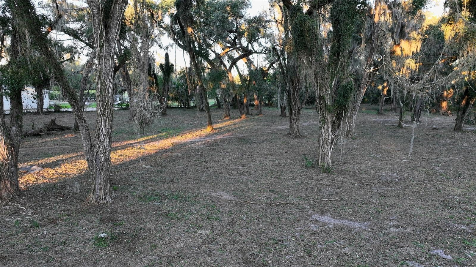 Land at MUCK POND RD, SEFFNER, photo 6 of 14