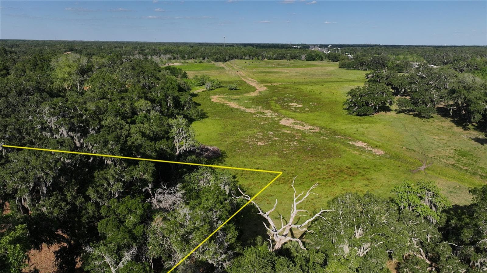 Land at MUCK POND RD, SEFFNER, photo 3 of 14