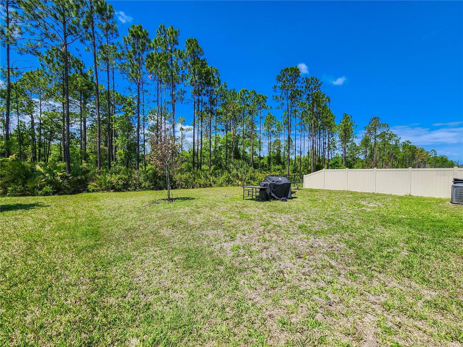Single Family Residence at 617 NARVAREZ AVE, ST AUGUSTINE, photo 93 of 102