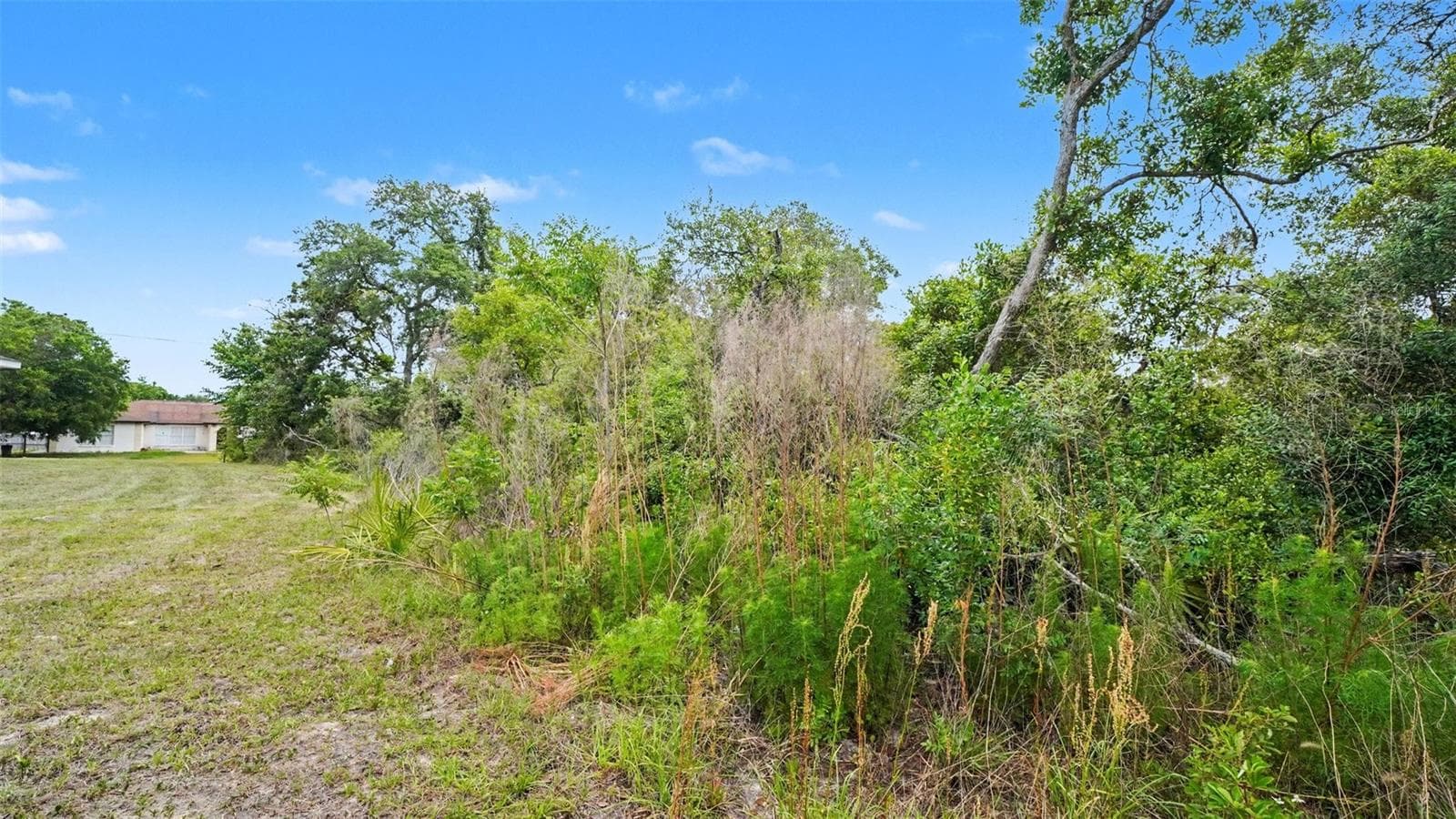 Land at 00000 SW 23RD AVENUE RD, OCALA, photo 7 of 16