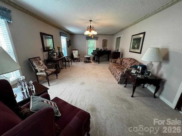Living Room - 204 Brentwood Drive, Maiden