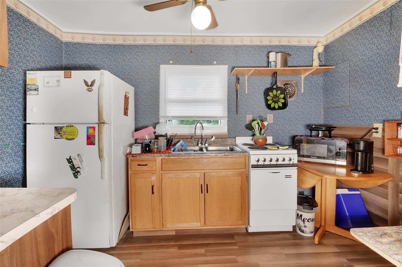 kitchen - 25801 BLUE LAKES DR, PAISLEY