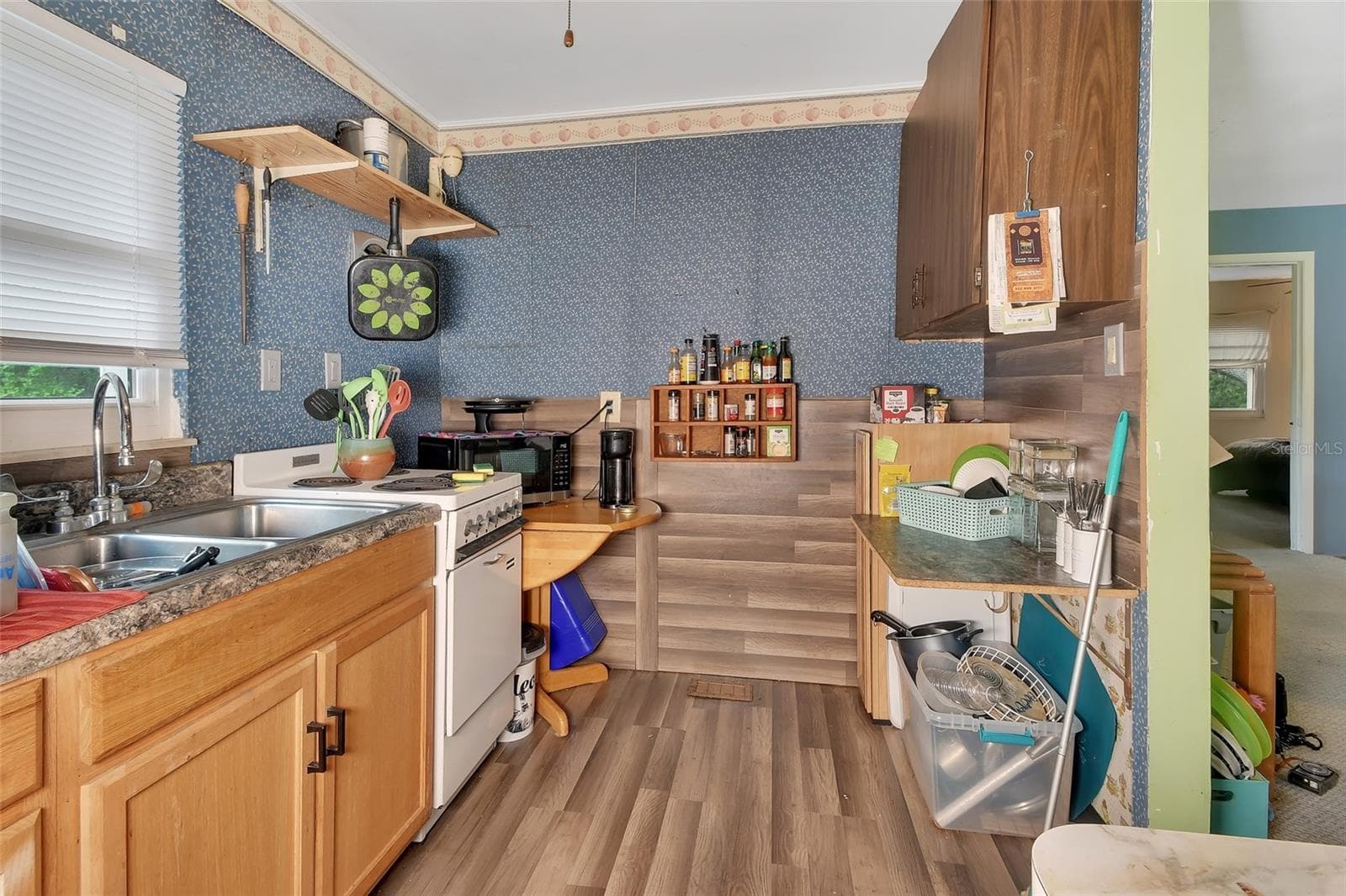 kitchen - 25801 BLUE LAKES DR, PAISLEY