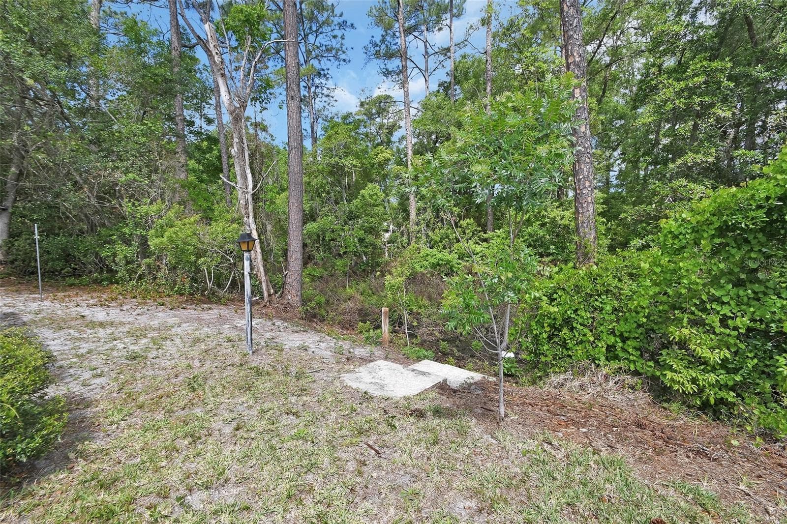 back yard facing canal - 25801 BLUE LAKES DR, PAISLEY