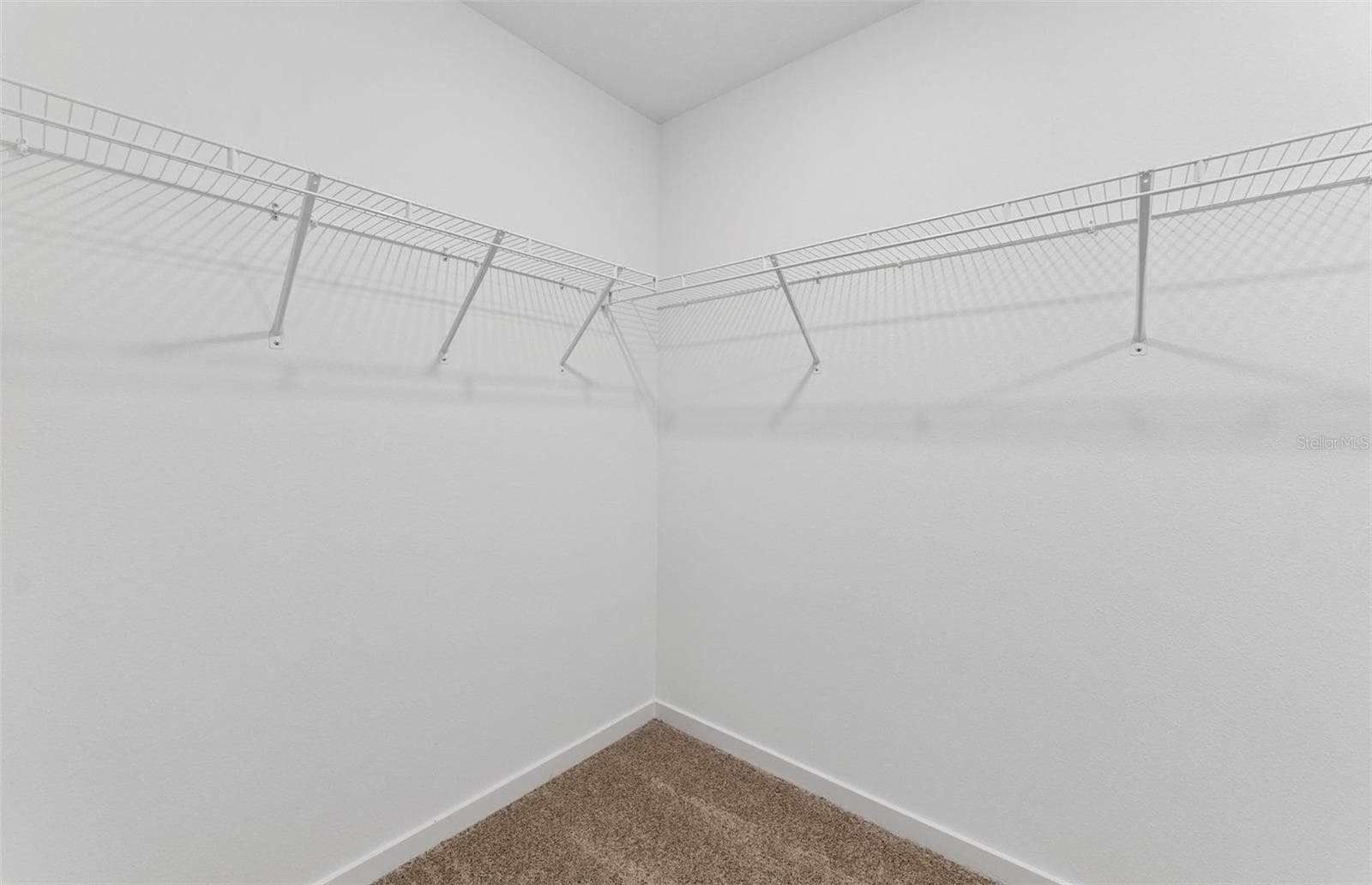 Model Representation - 9748 CRESCENT MOON DR, RIVERVIEW