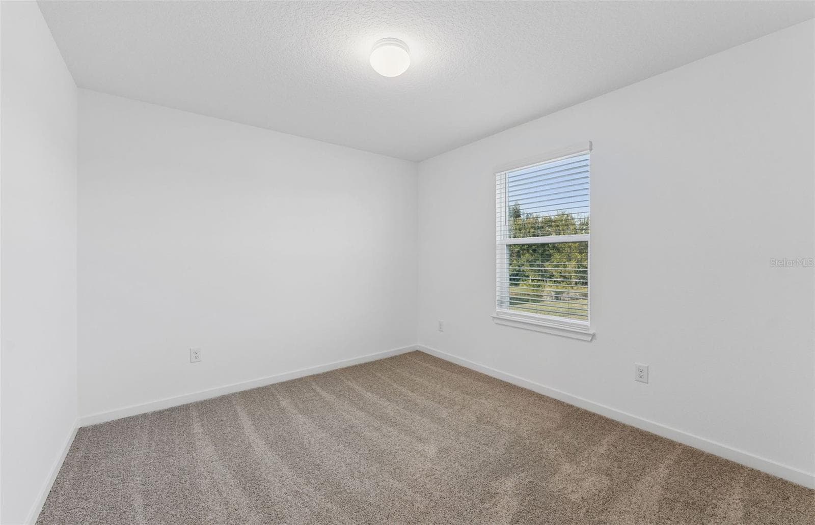 Model Representation - 9748 CRESCENT MOON DR, RIVERVIEW