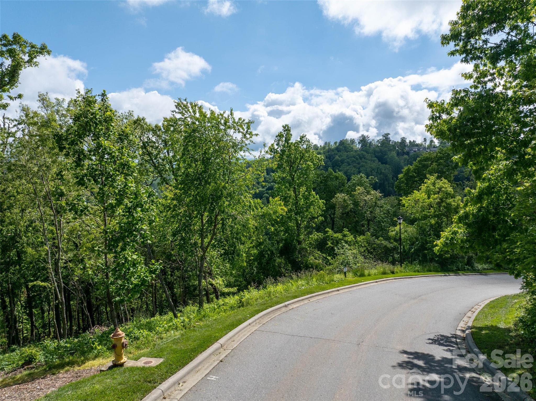 Lot at Asheville, photo 2 of 27