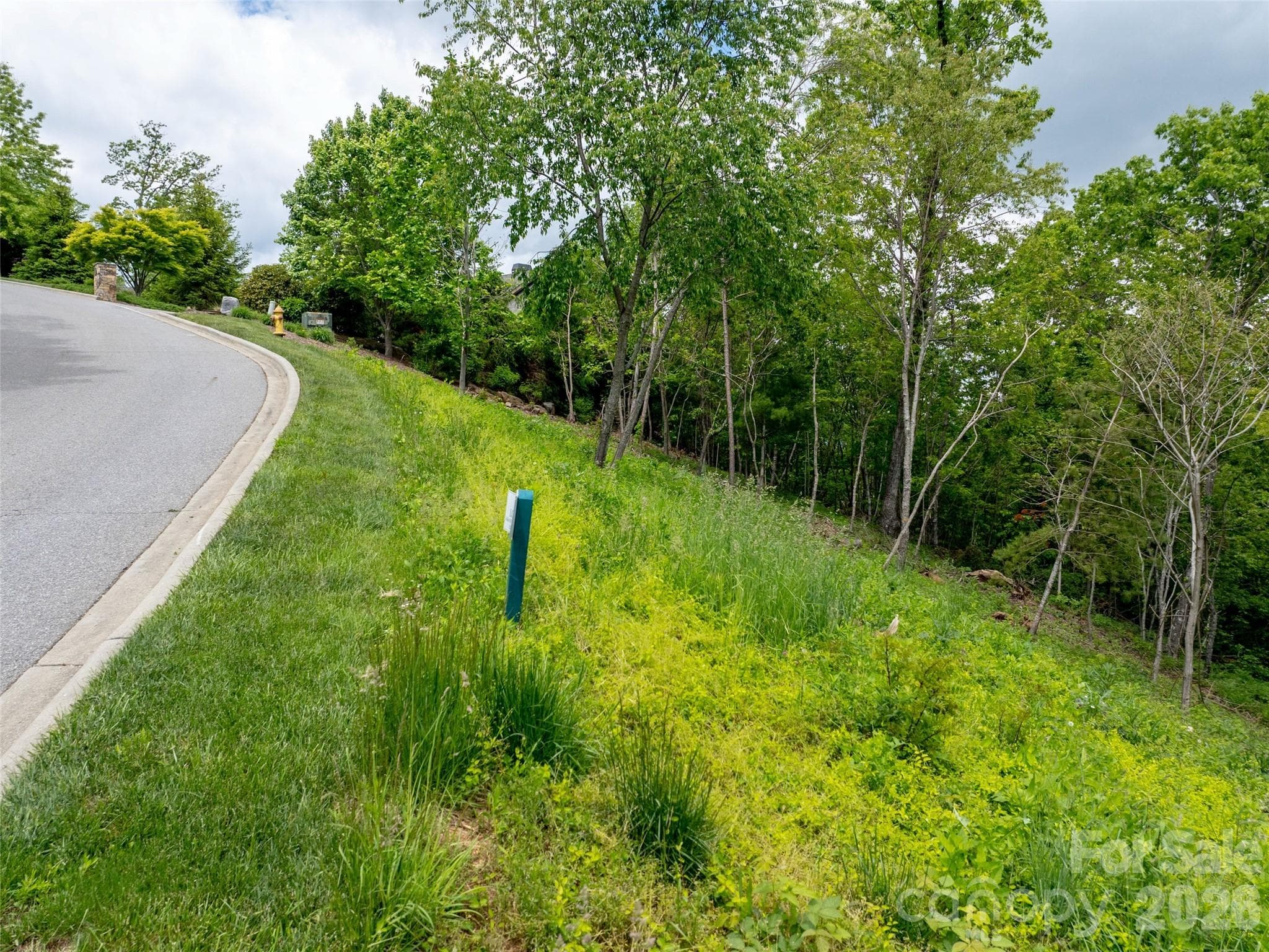 Lot at Asheville, photo 4 of 27
