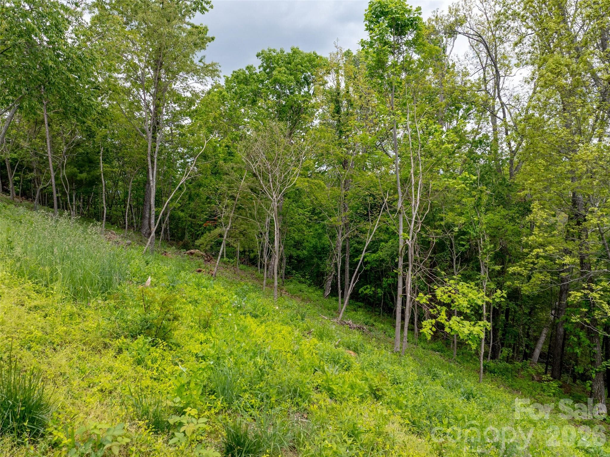 Lot at Asheville, photo 5 of 27