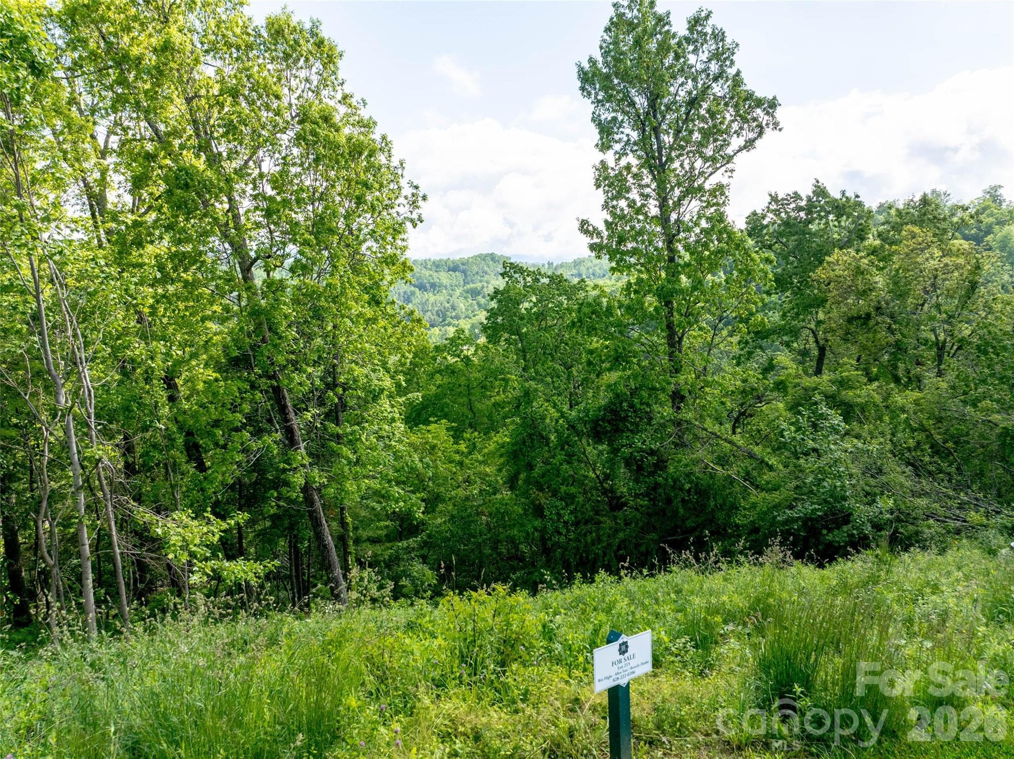 Lot at Asheville, photo 6 of 27
