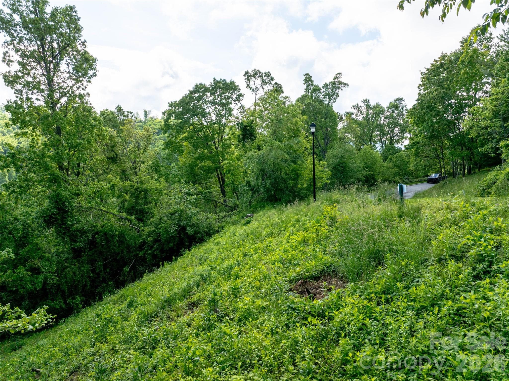 Lot at Asheville, photo 7 of 27