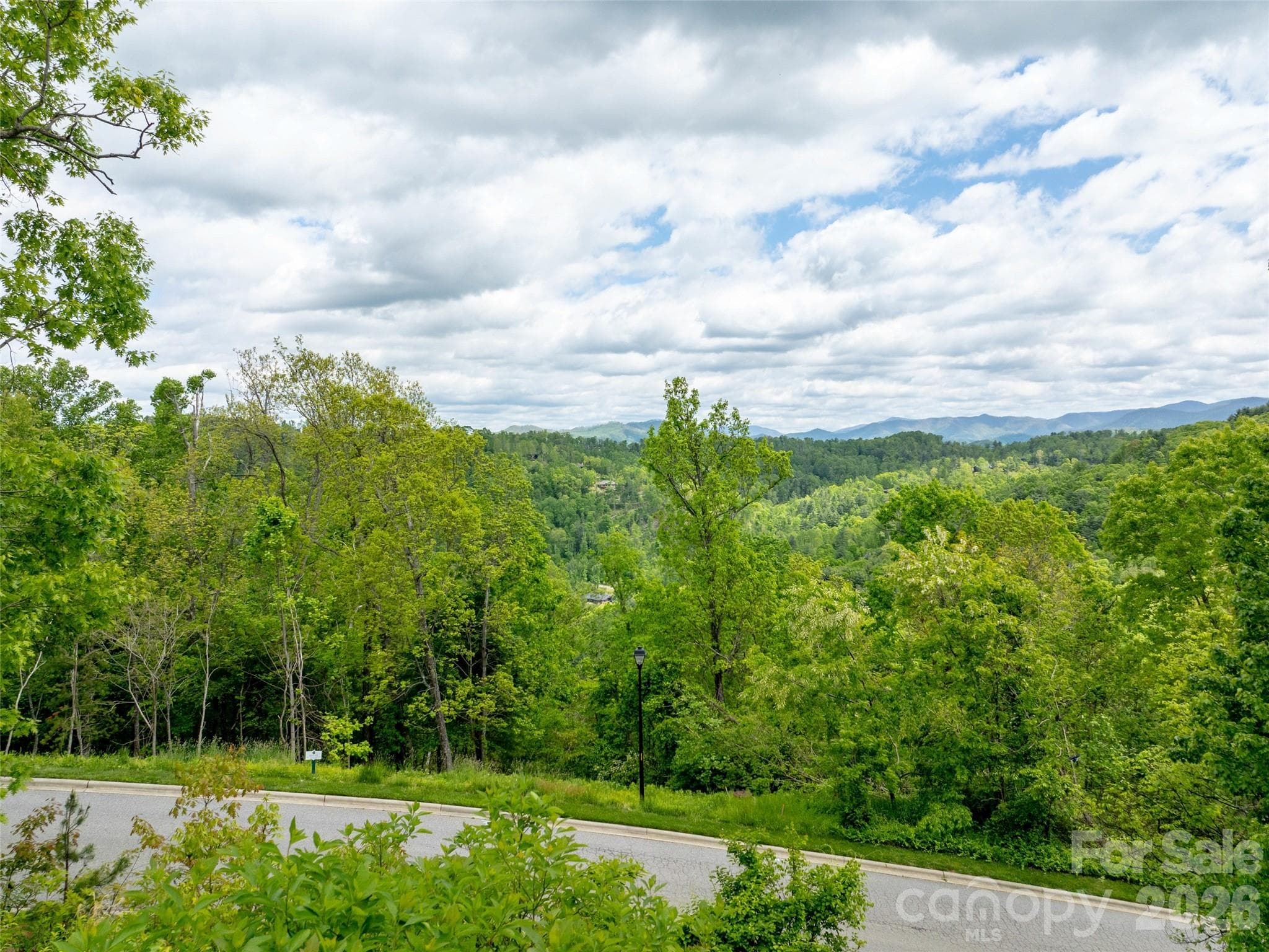 Lot at Asheville, photo 9 of 27