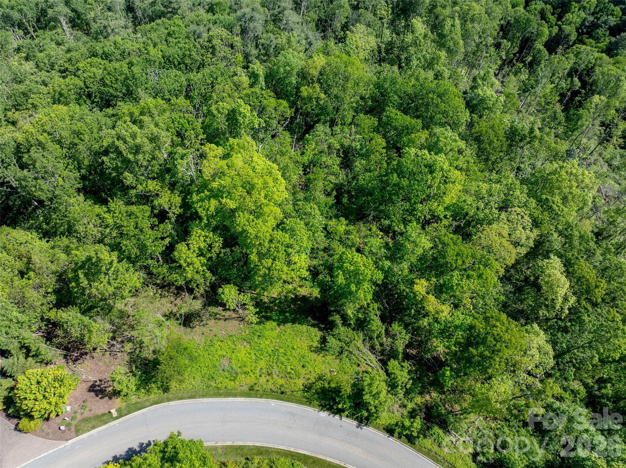 Lot at Asheville, photo 10 of 27