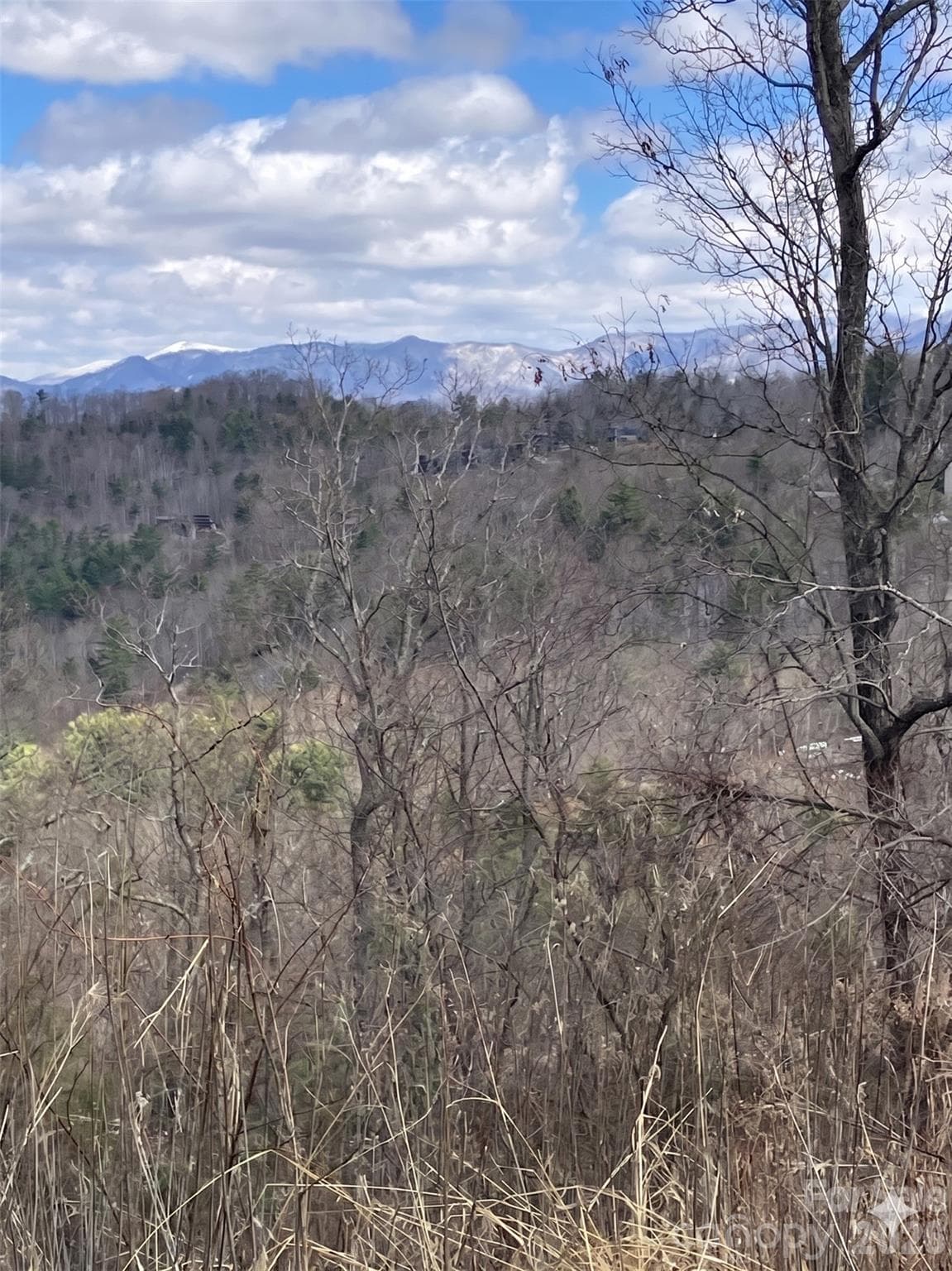 Lot at Asheville, photo 27 of 27