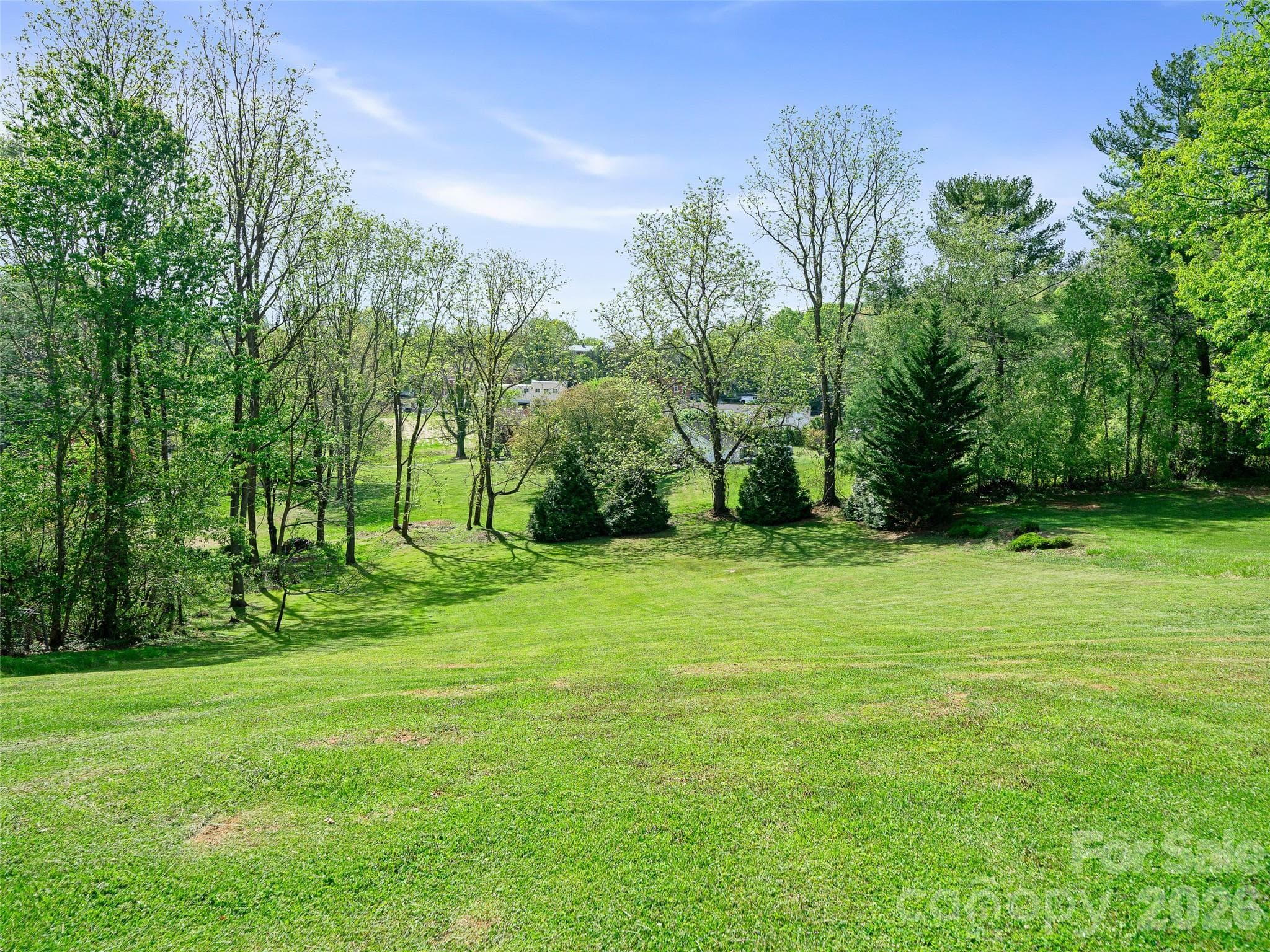 Back Yard - Burnsville