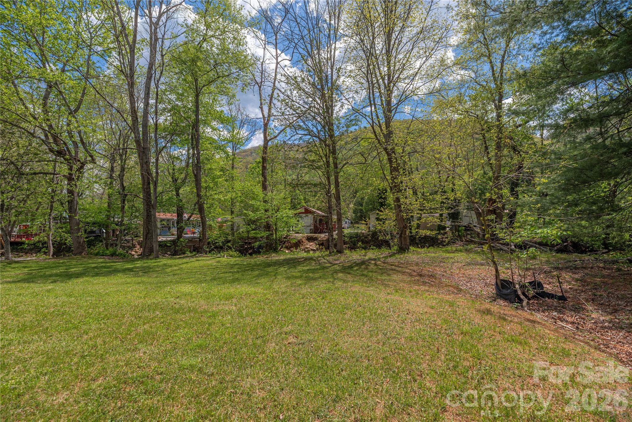 Lot at 500 Sophie Road, Maggie Valley, photo 7 of 32