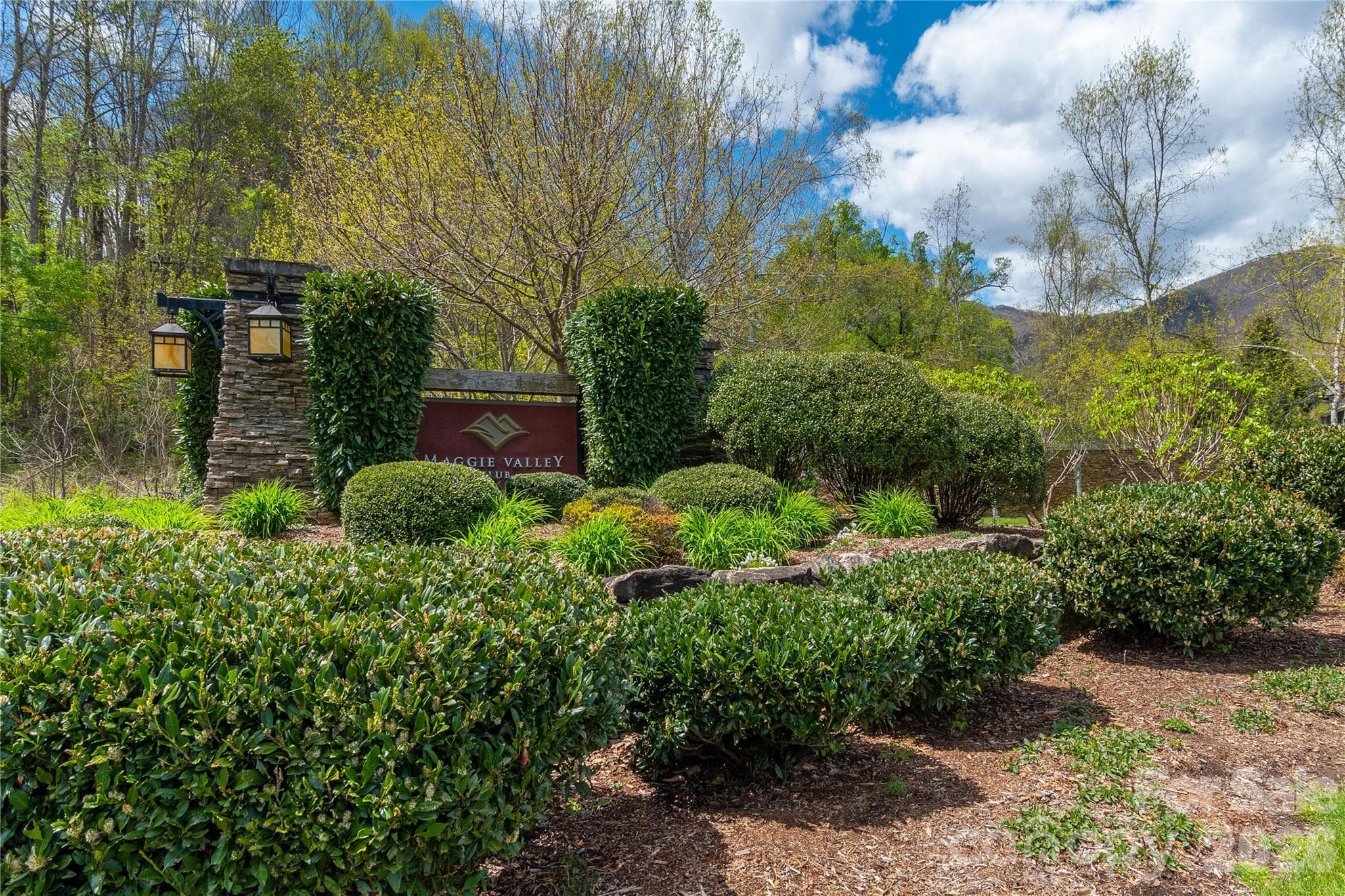 Lot at 500 Sophie Road, Maggie Valley, photo 13 of 32