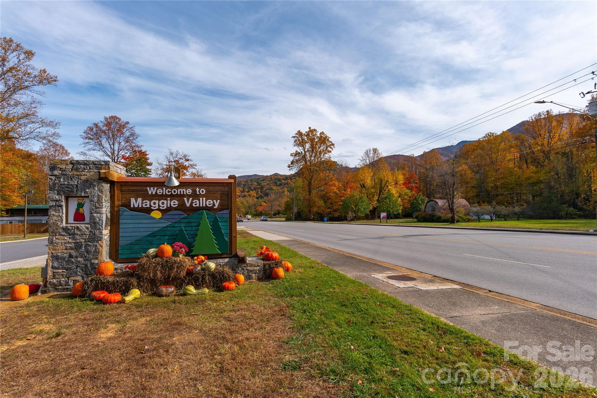 Lot at 500 Sophie Road, Maggie Valley, photo 25 of 32
