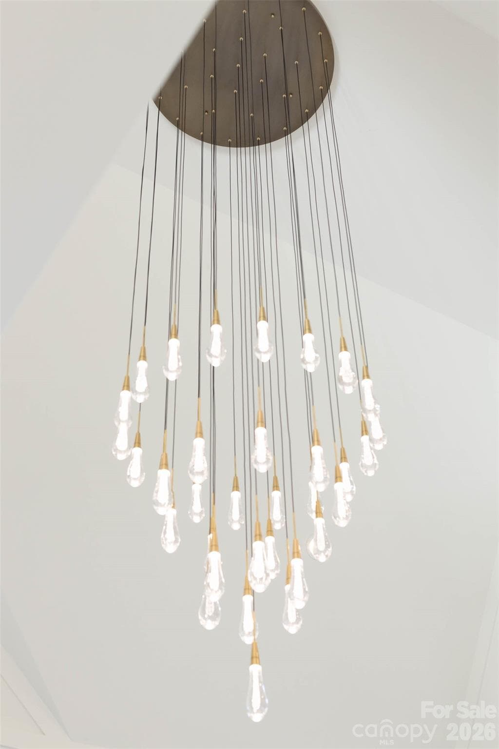 Designer lighting - 216 Walnut Street, Davidson