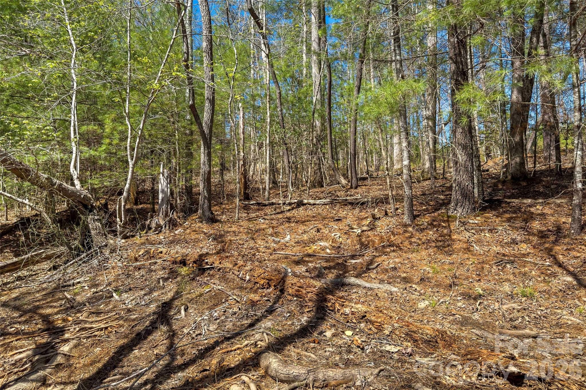 Lot at Morganton, photo 7 of 24