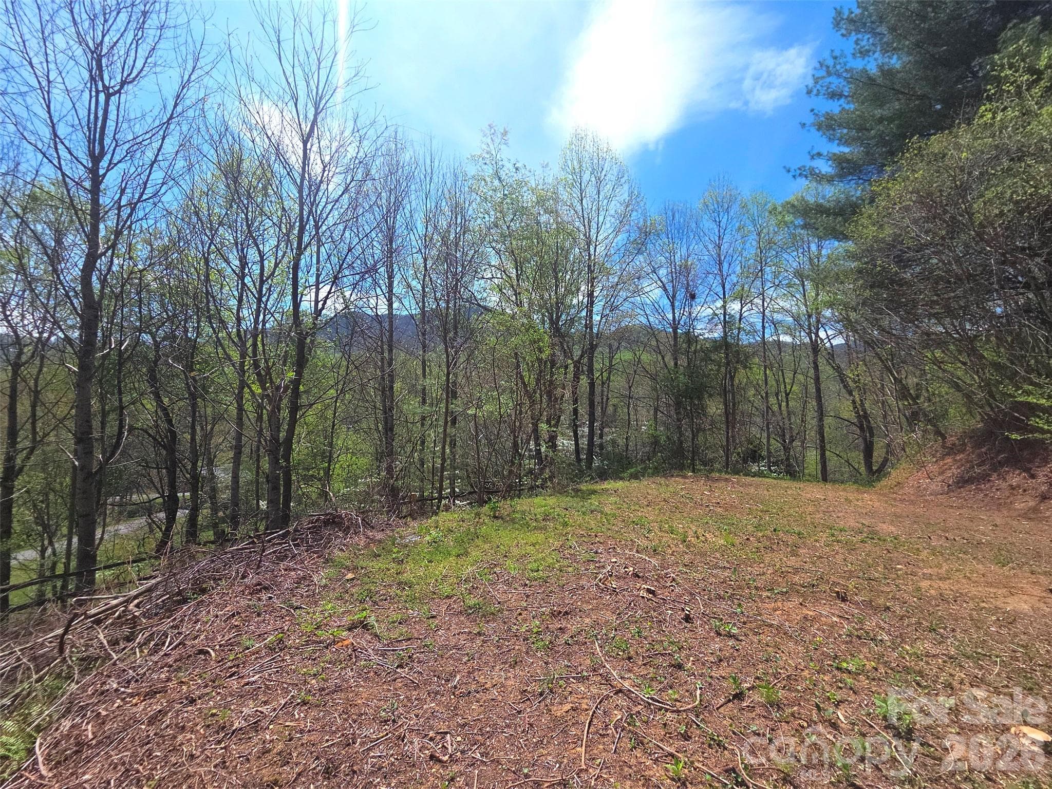 Lot at Waynesville, photo 2 of 20