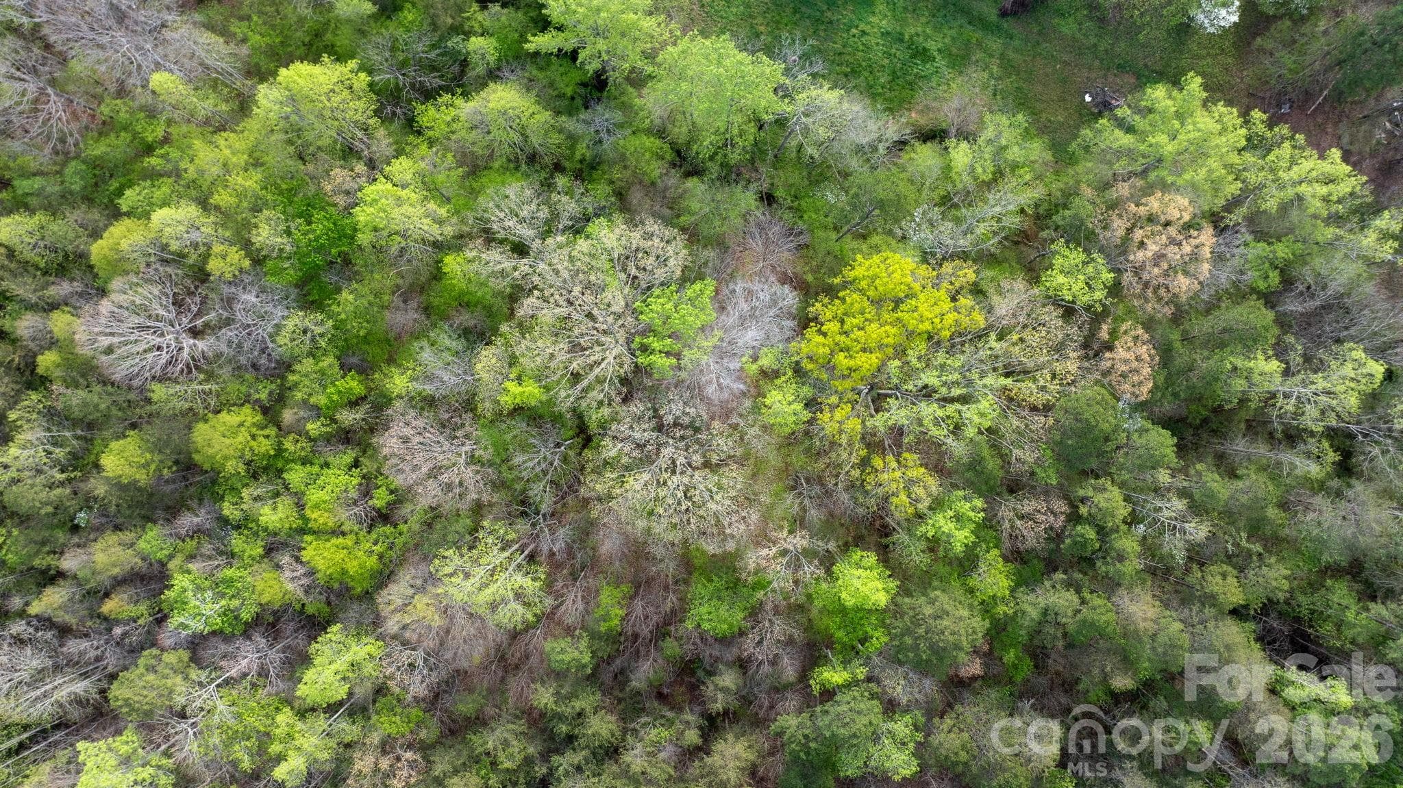 Acreage at Claremont, photo 13 of 14