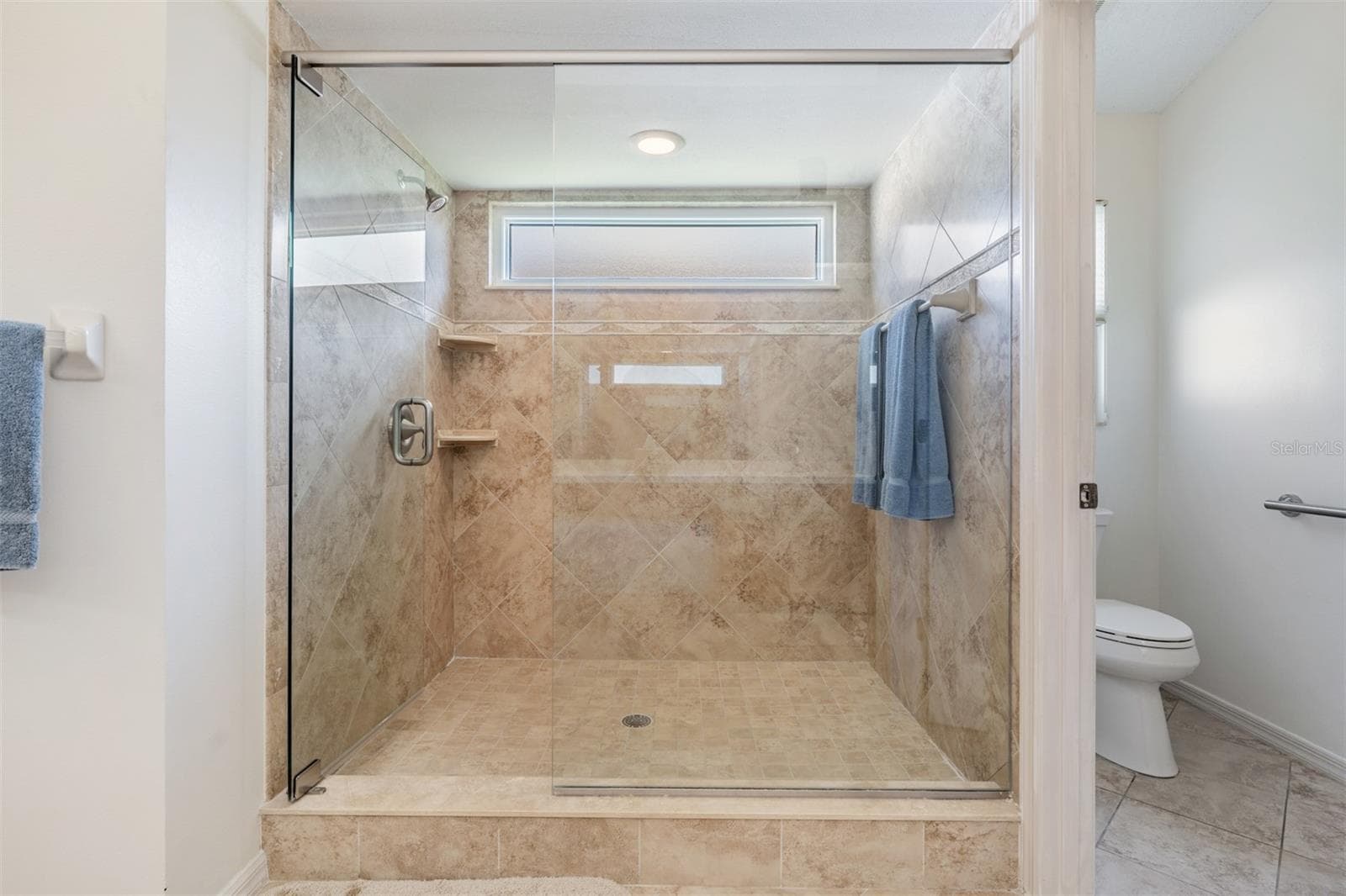 Master Bathroom - 9008 QUAIL CREEK DR, TAMPA