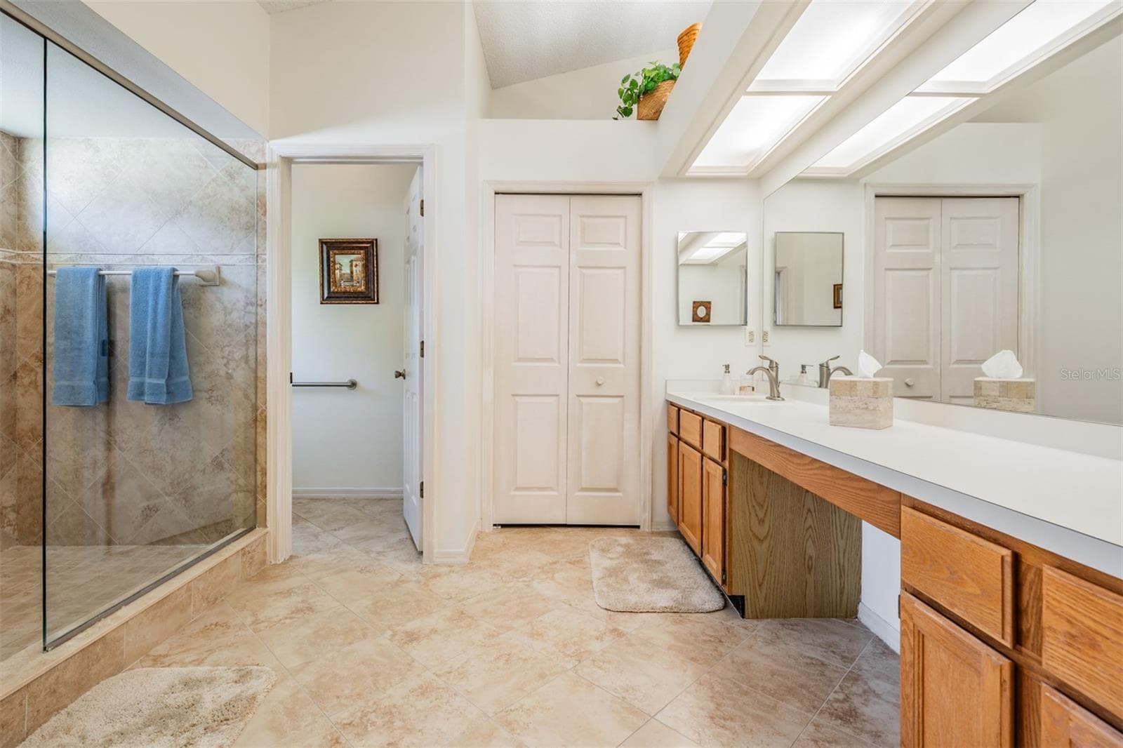 Master Bathroom - 9008 QUAIL CREEK DR, TAMPA