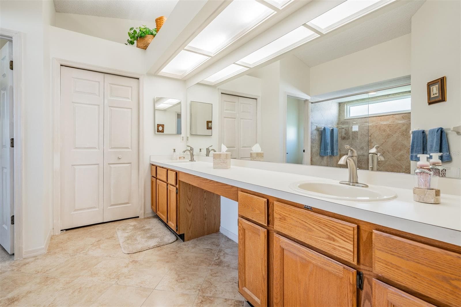 Master Bathroom - 9008 QUAIL CREEK DR, TAMPA