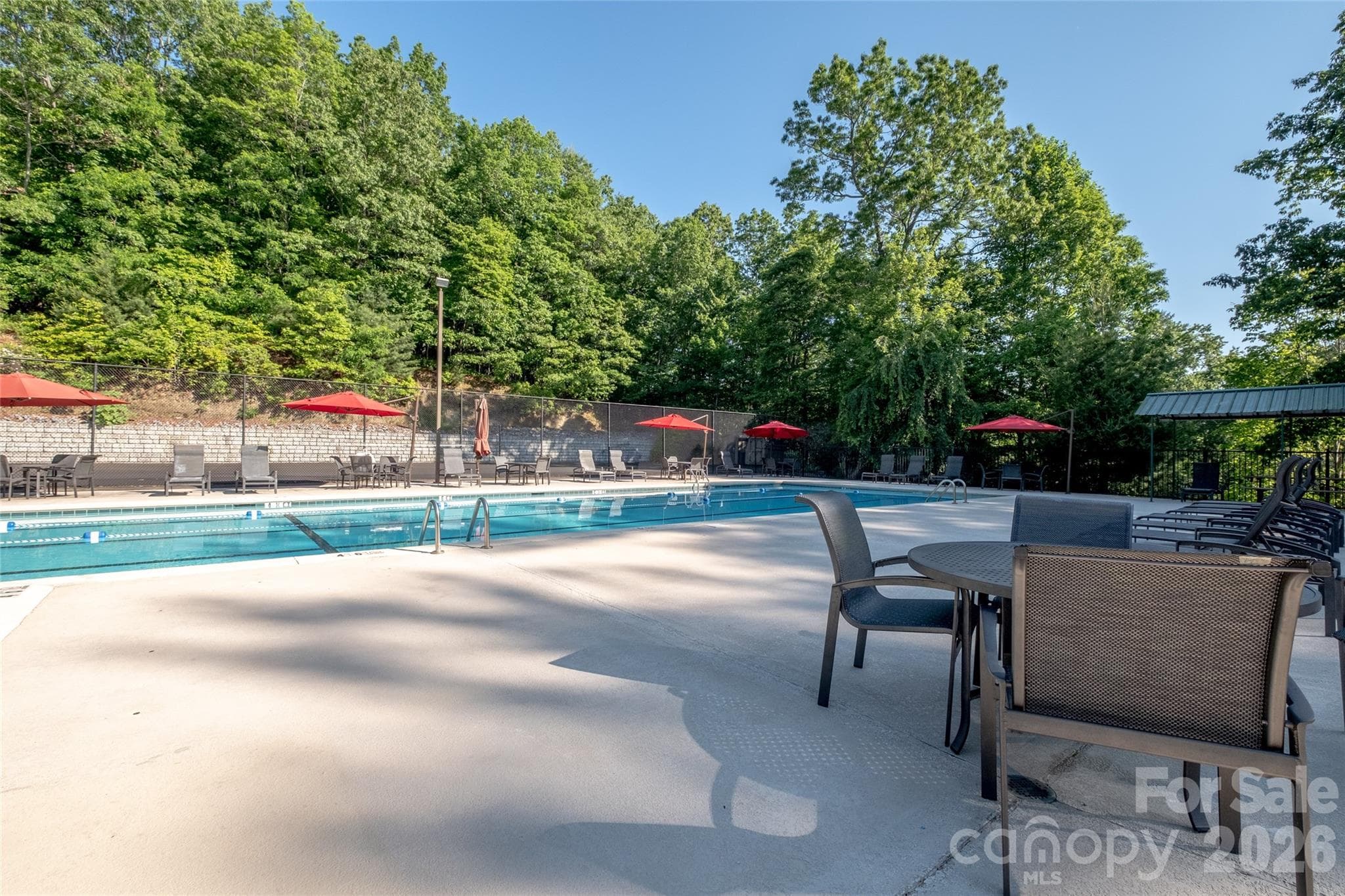 Connestee Falls Pool - 78 Wahuhu Court, Brevard