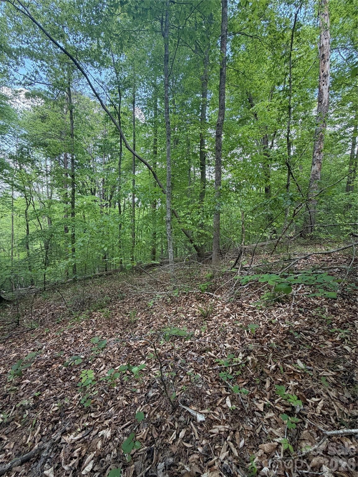 Lot at 0 Overstone Drive, Rutherfordton, photo 4 of 17