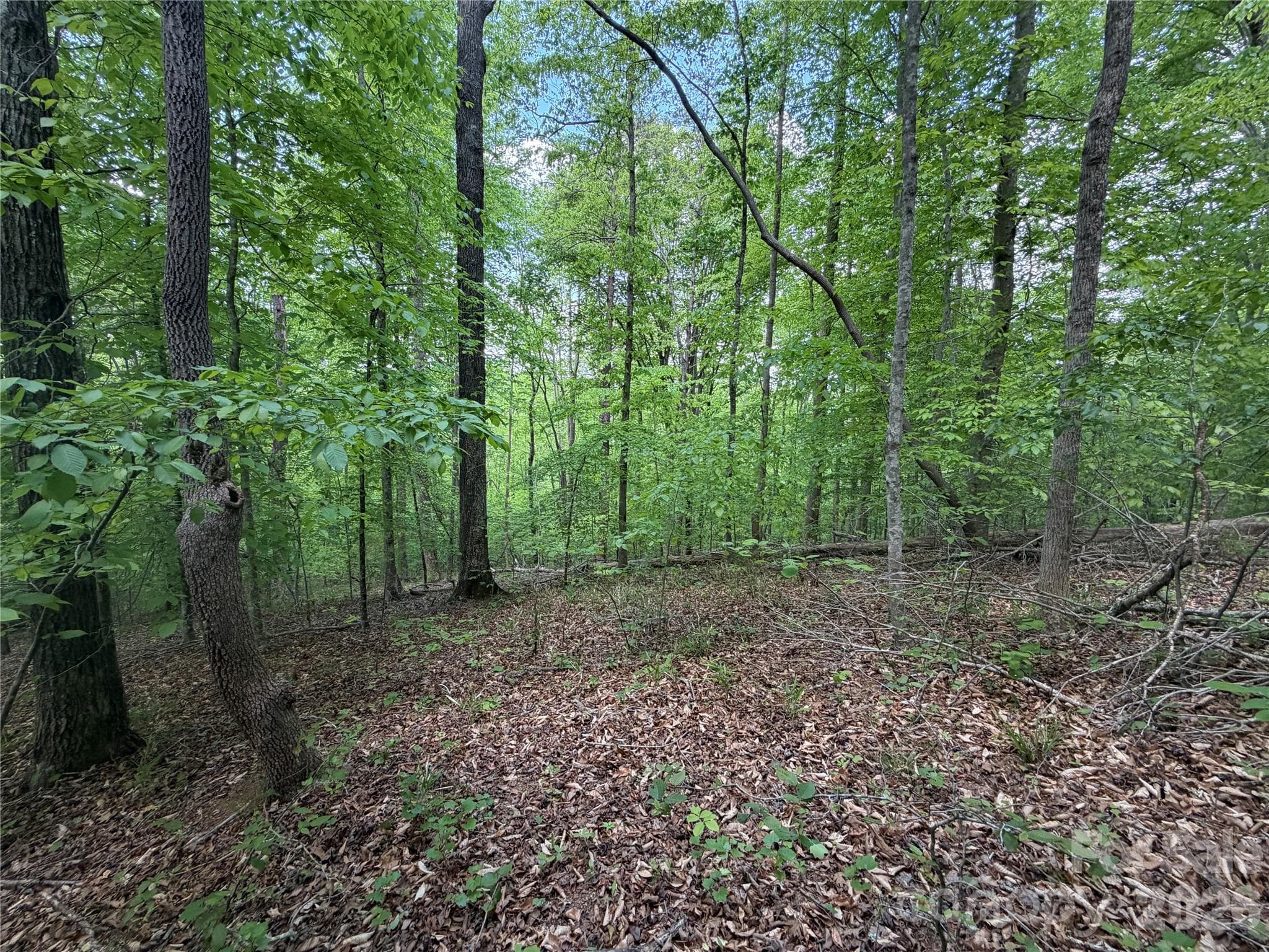 Lot at Rutherfordton, photo 3 of 17