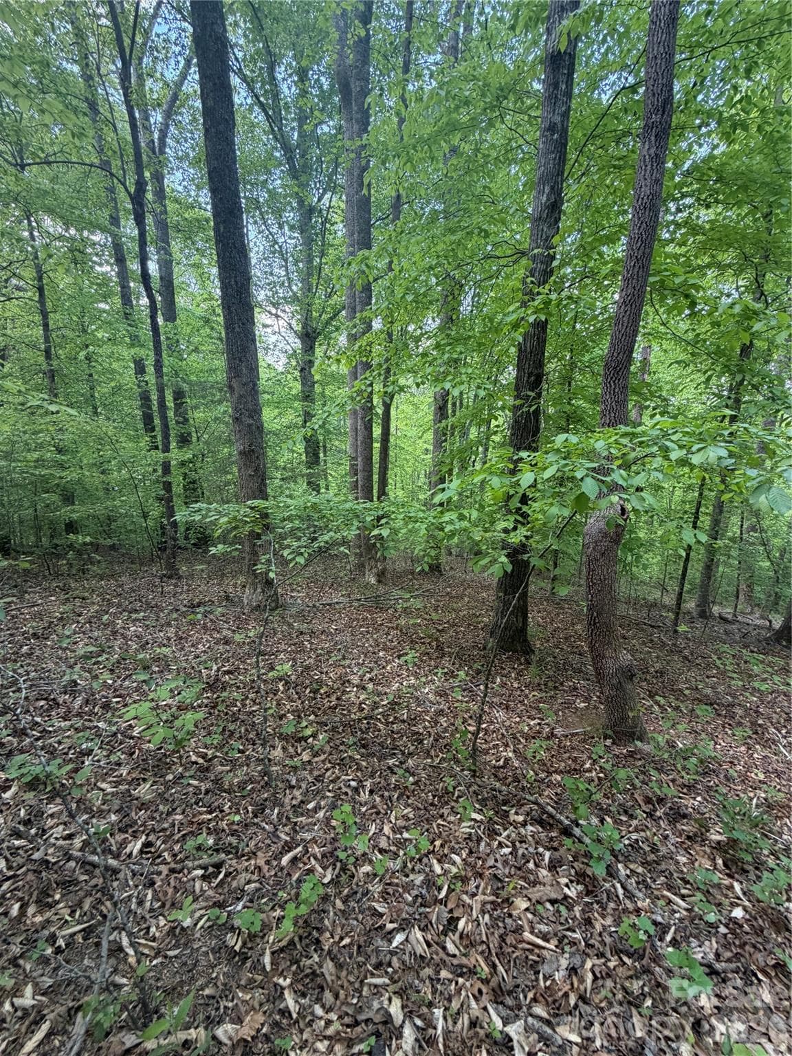Lot at 0 Overstone Drive, Rutherfordton, photo 5 of 17