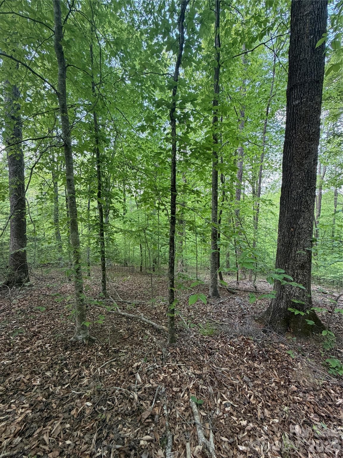 Lot at 0 Overstone Drive, Rutherfordton, photo 7 of 17