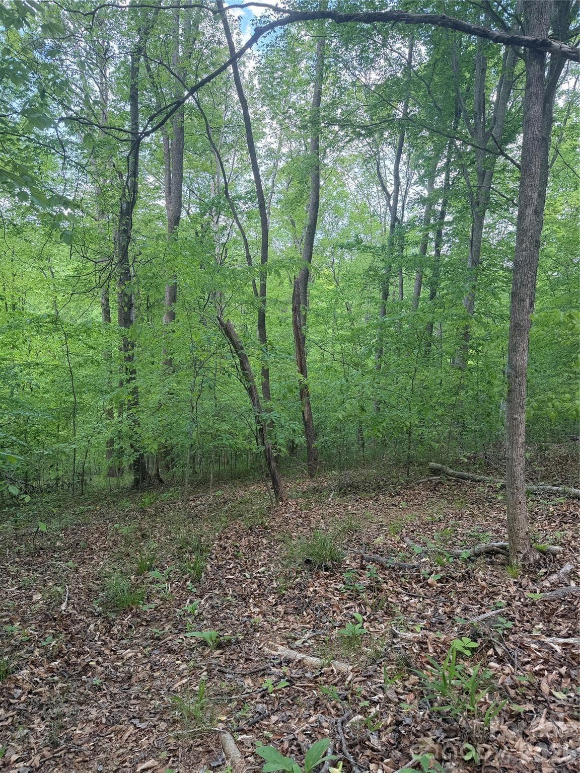 Lot at 0 Overstone Drive, Rutherfordton, photo 8 of 17