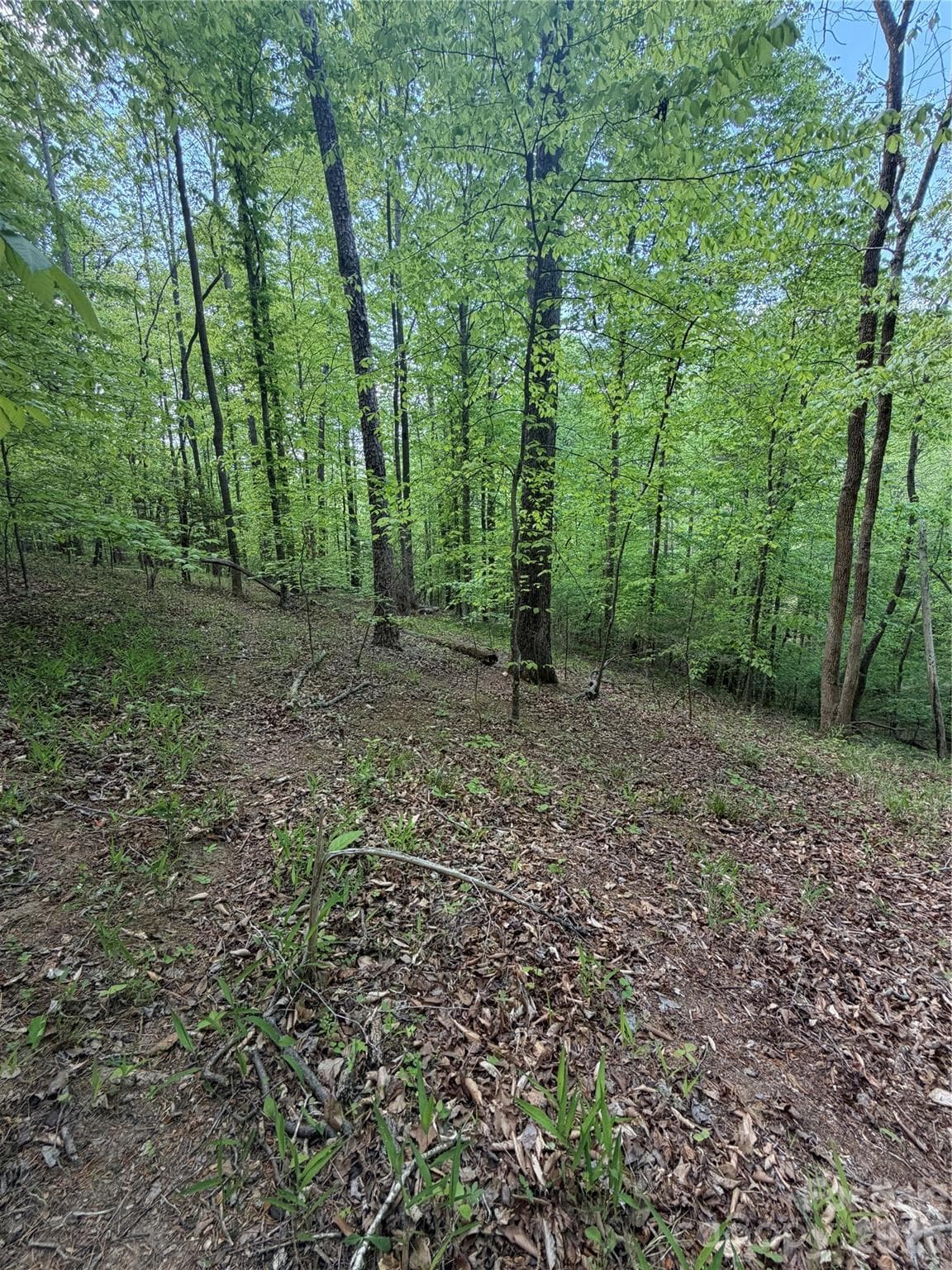 Lot at 0 Overstone Drive, Rutherfordton, photo 9 of 17