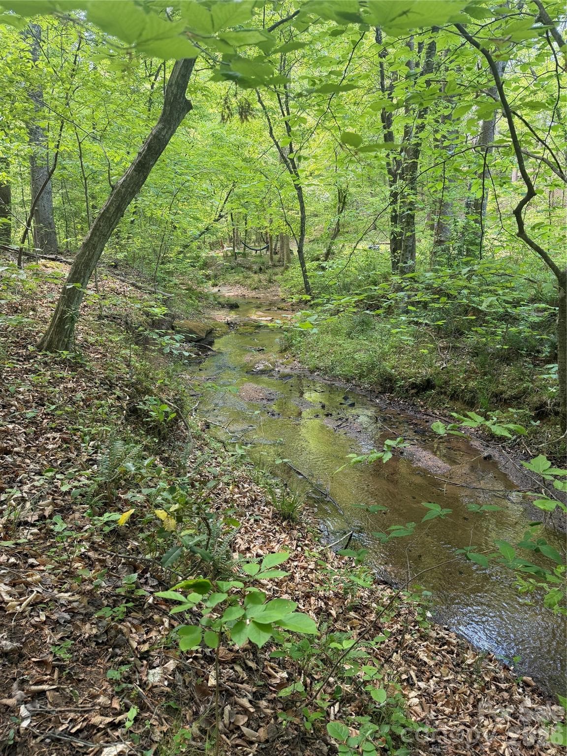 Lot at Rutherfordton, photo 10 of 17