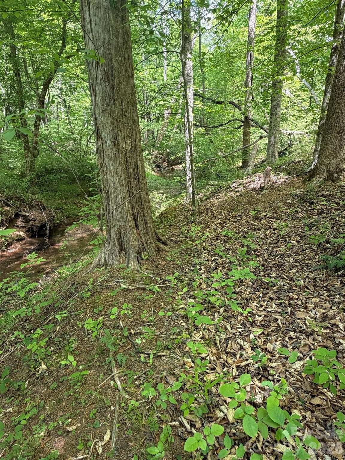 Lot at 0 Overstone Drive, Rutherfordton, photo 11 of 17
