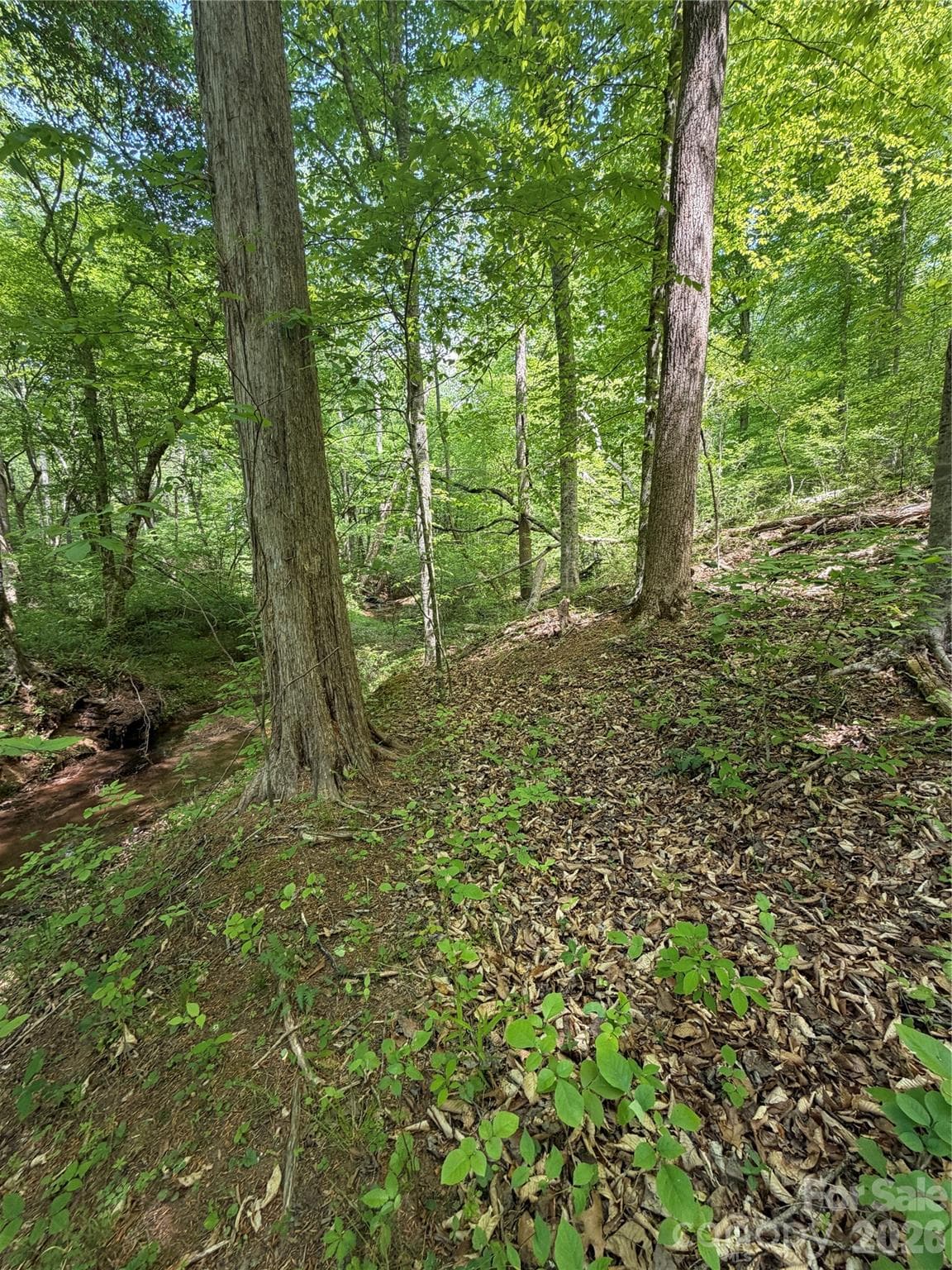 Lot at 0 Overstone Drive, Rutherfordton, photo 12 of 17