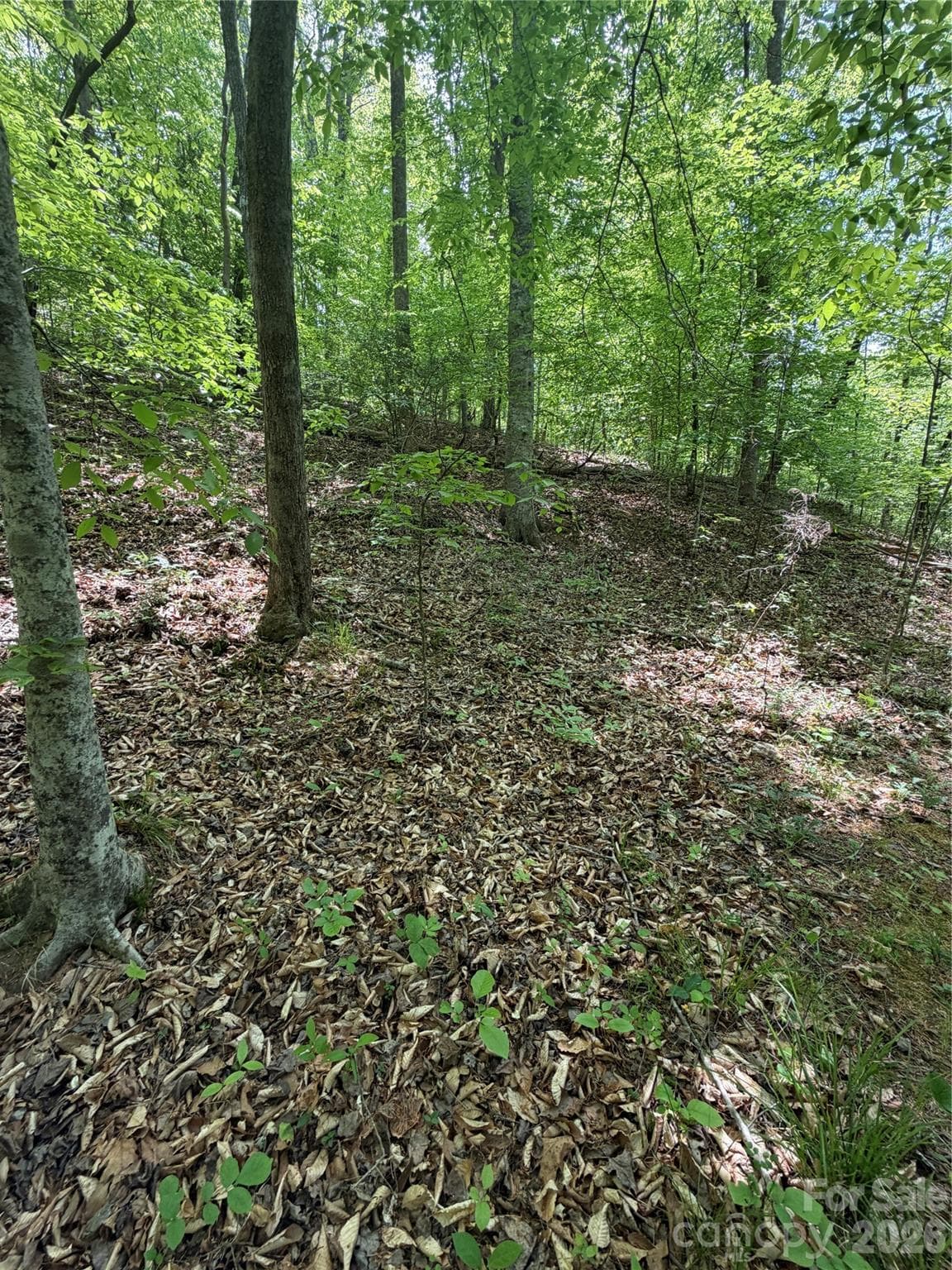 Lot at 0 Overstone Drive, Rutherfordton, photo 13 of 17