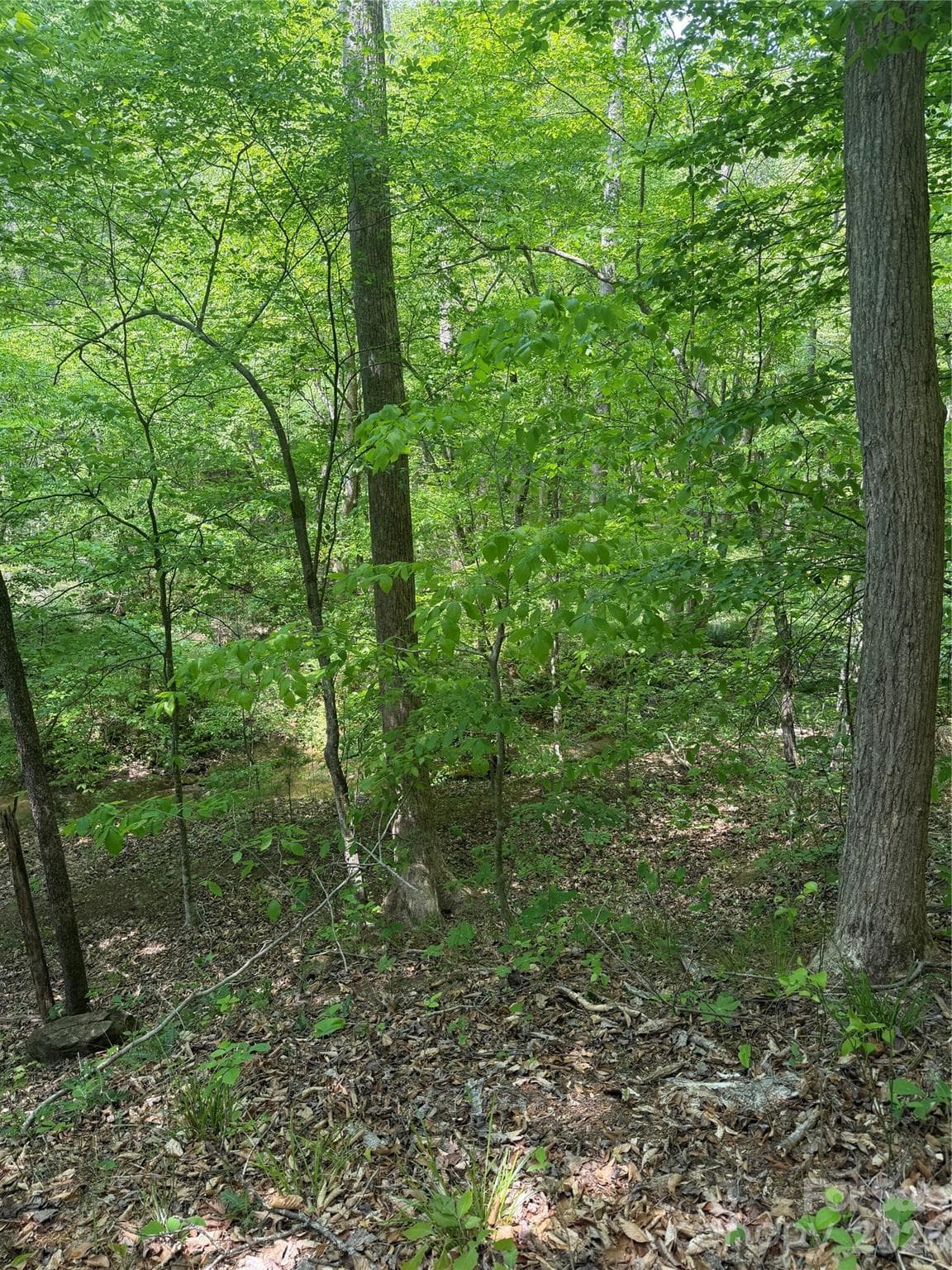 Lot at 0 Overstone Drive, Rutherfordton, photo 14 of 17